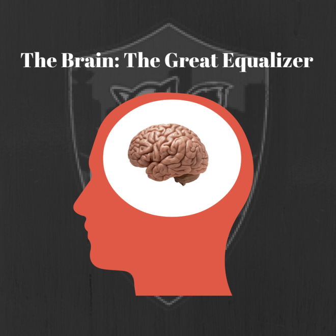 The Brain: The Great Equalizer – Fight, Flight or Freeze