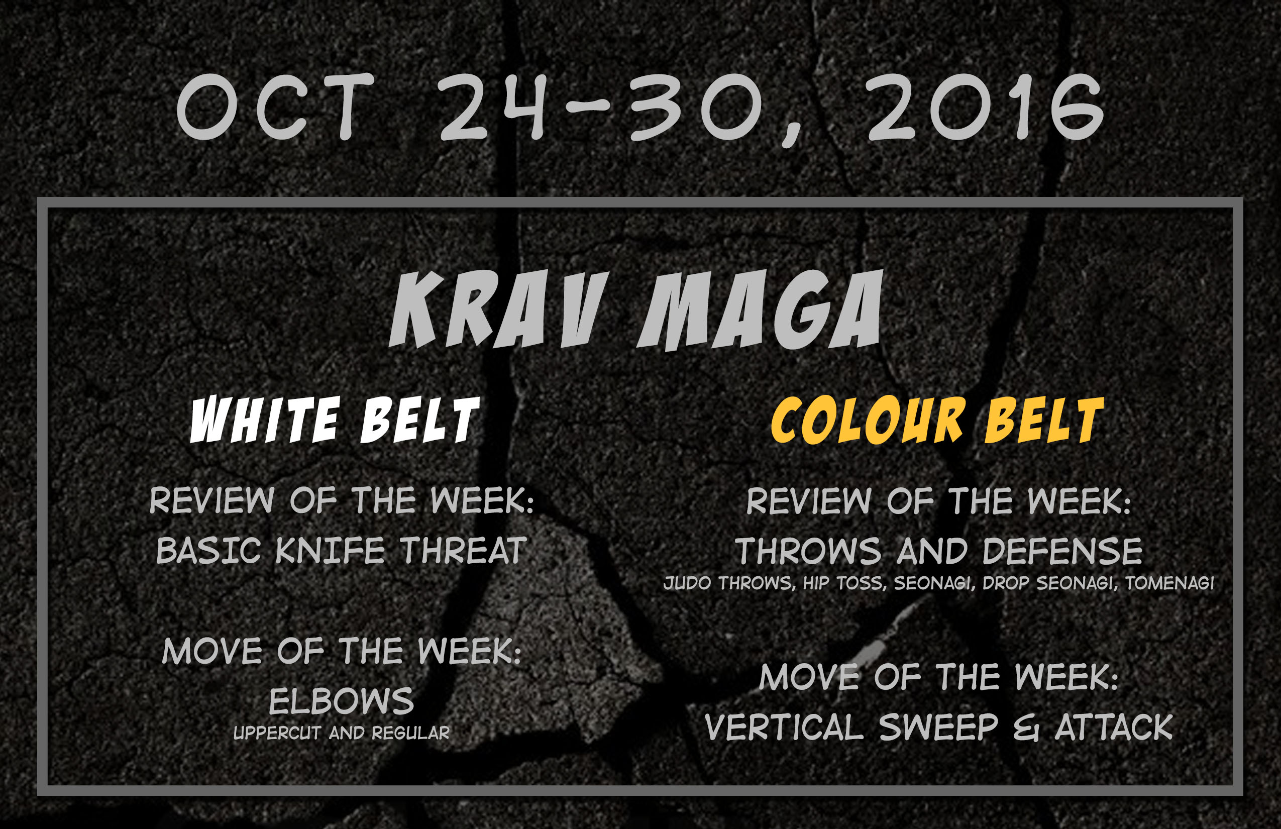This week’s Krav Maga and BJJ curriculum: Oct 24-30, 2016