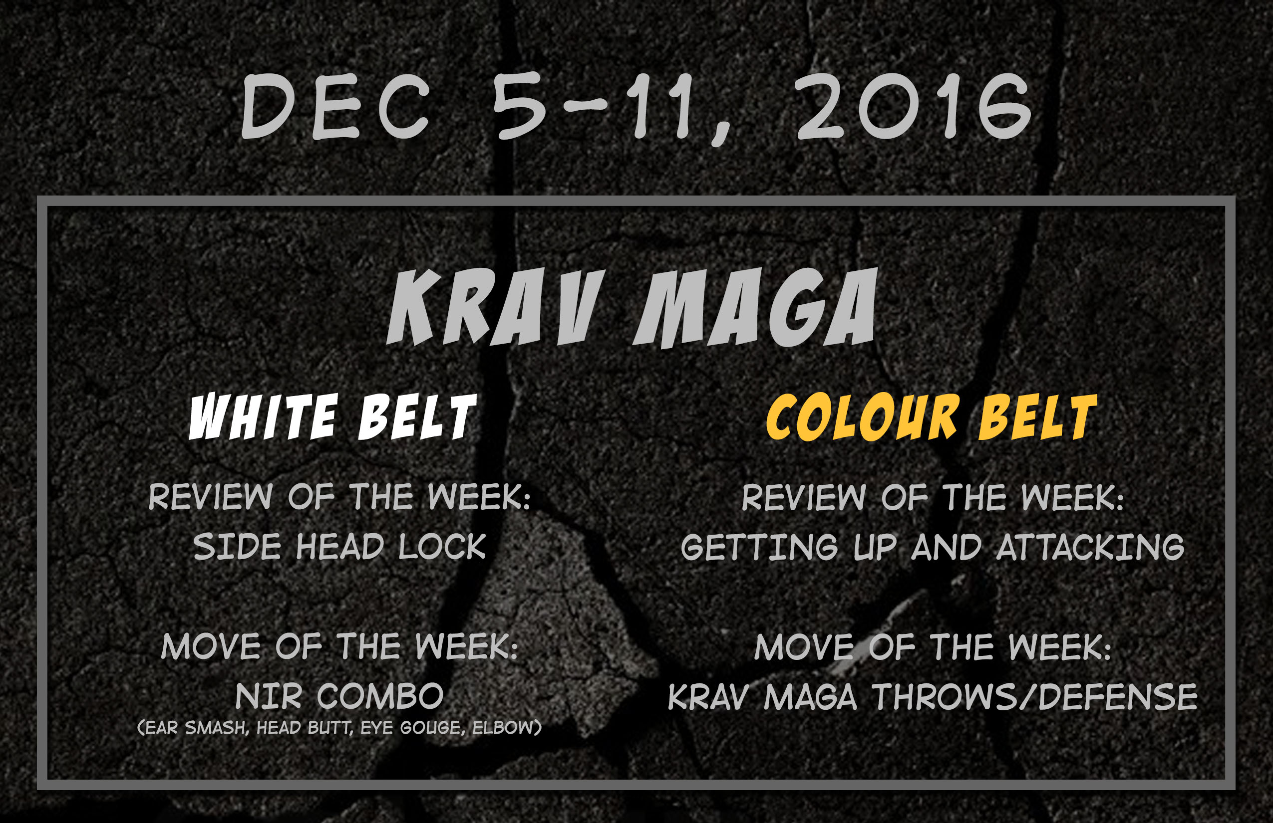 This week’s Krav Maga and BJJ curriculum: Dec 5-11, 2016