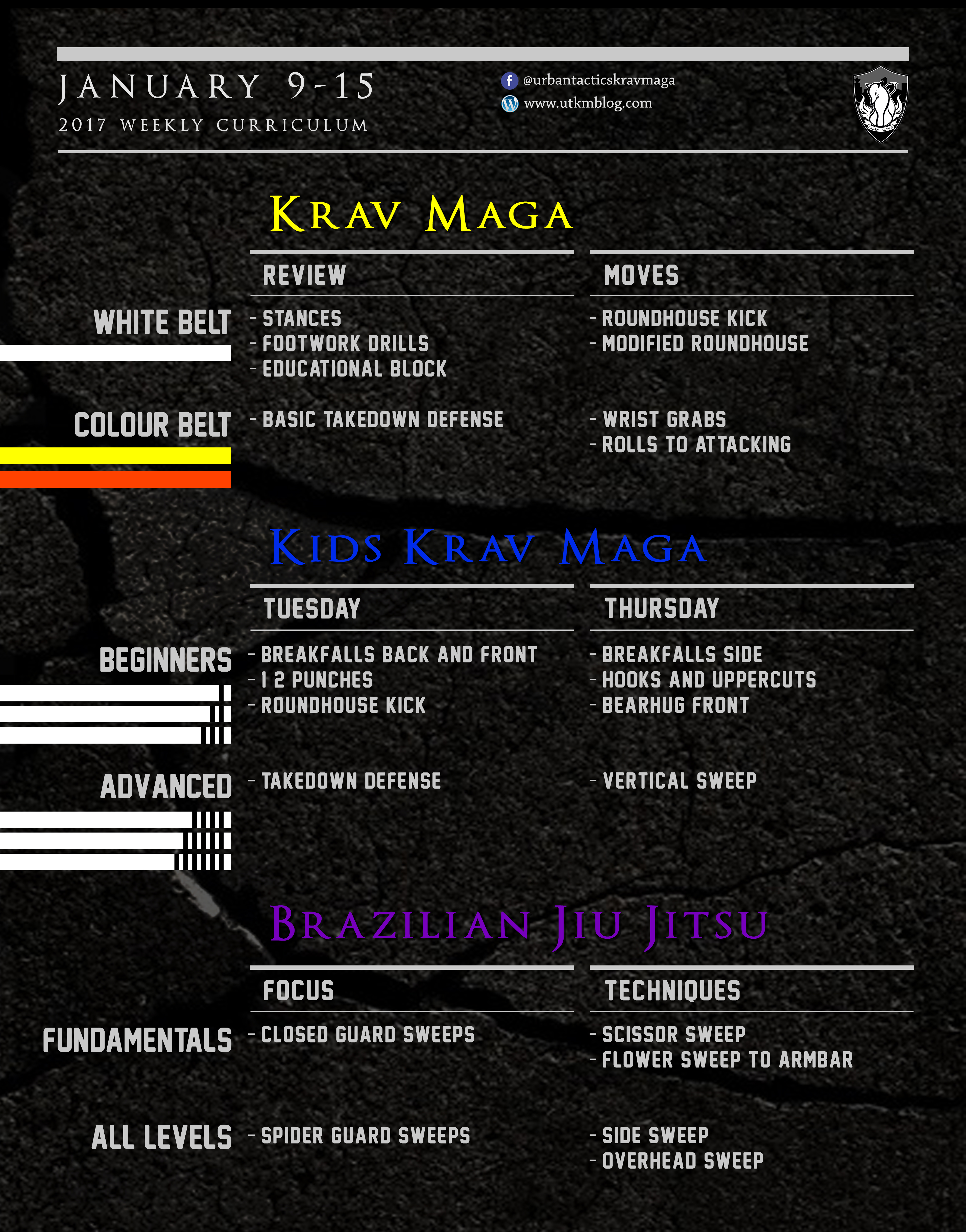 This week’s Krav Maga and BJJ curriculum: Jan 9-15, 2017