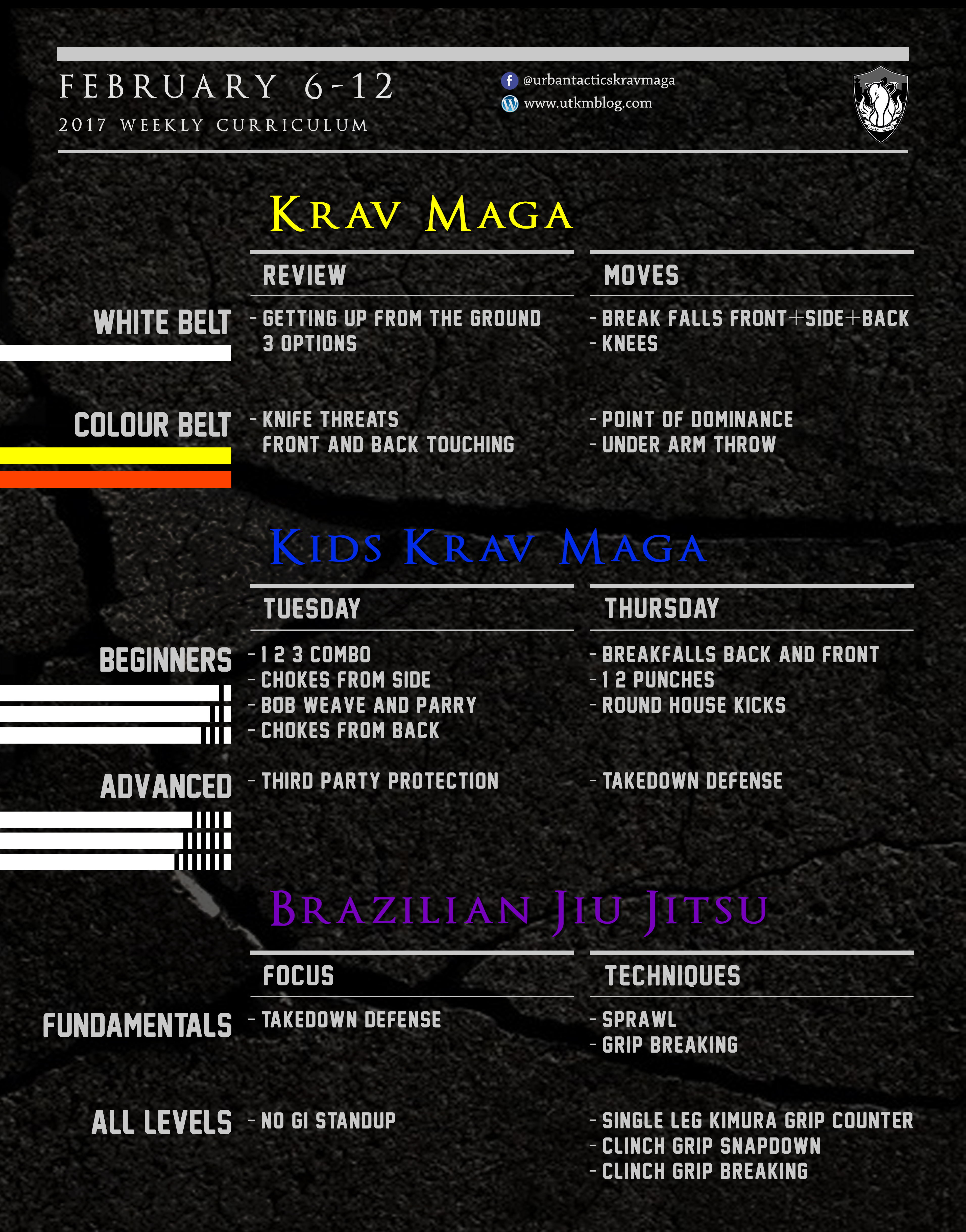 This week’s Krav Maga and BJJ curriculum: Feb 6-12, 2017