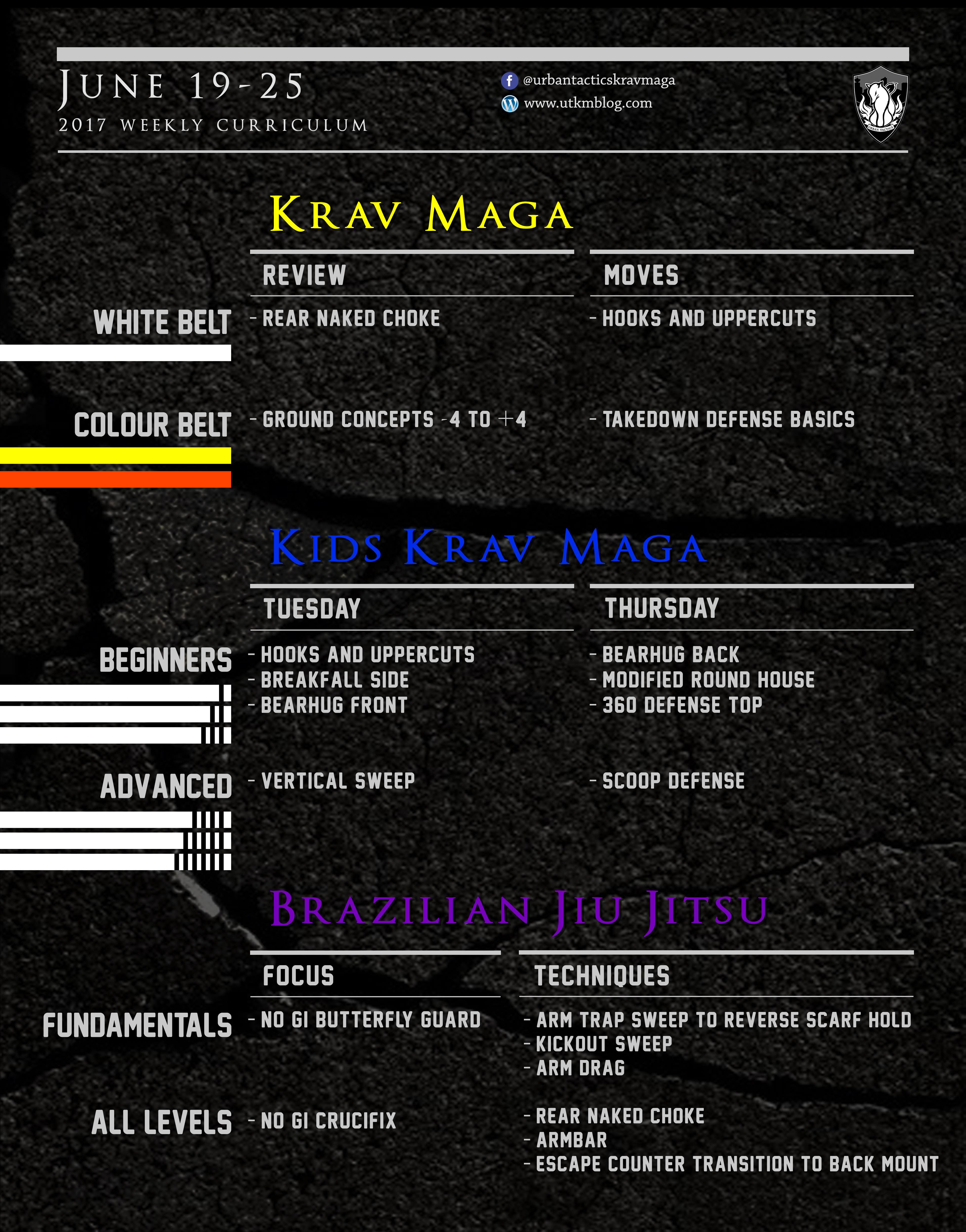 This week’s Krav Maga and BJJ curriculum: June 19-25, 2017