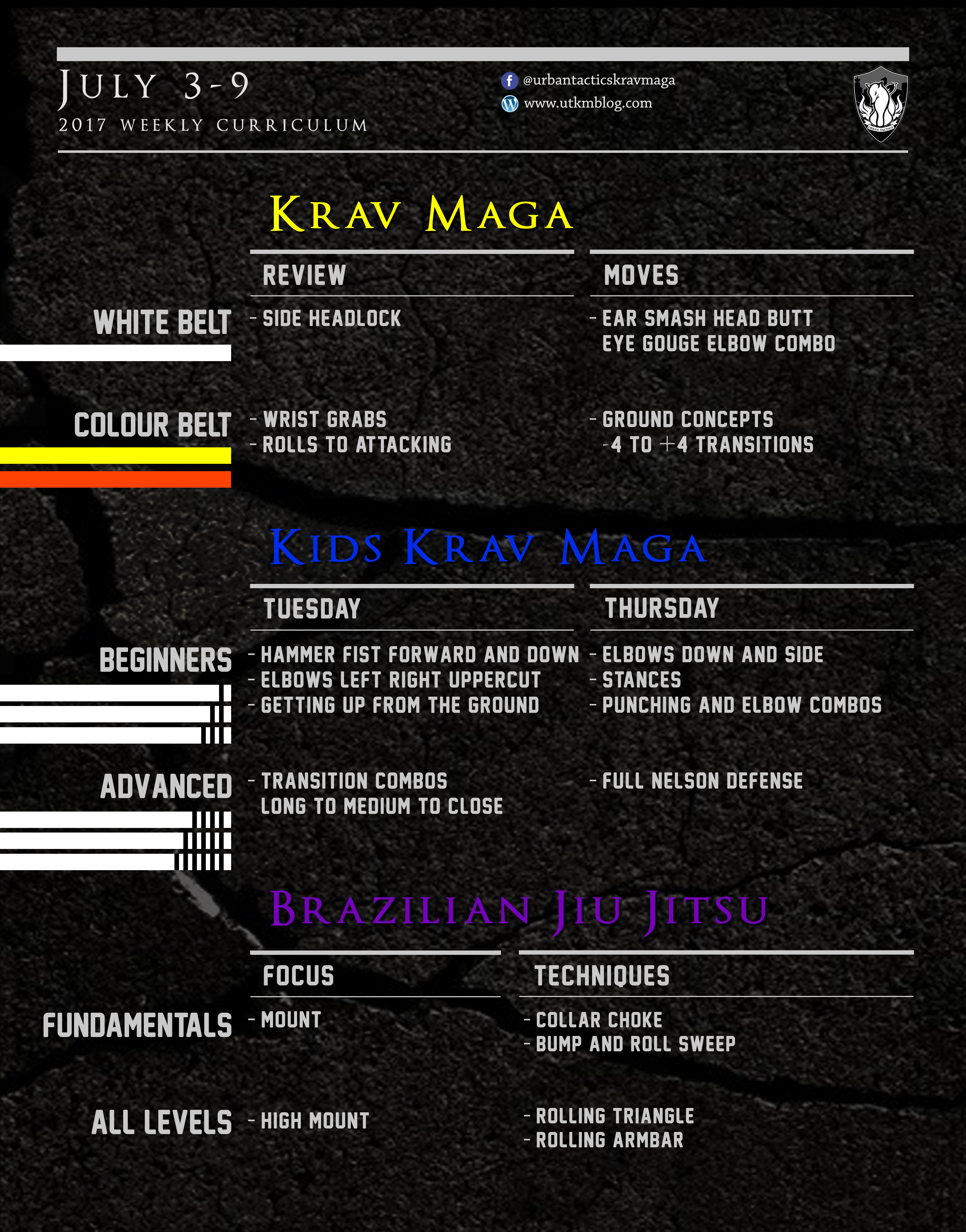 This week’s Krav Maga and BJJ curriculum: July 3-9, 2017