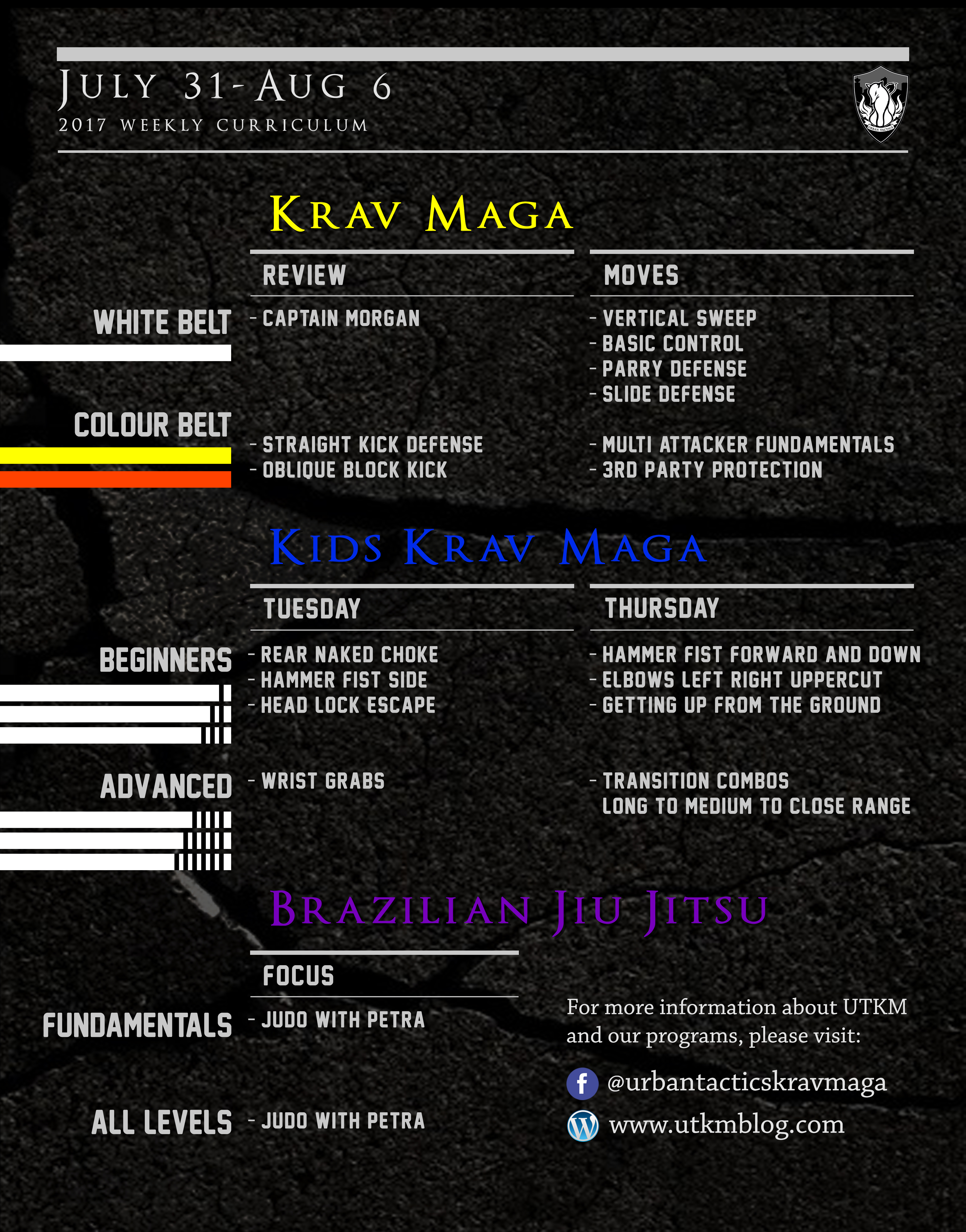 This week’s Krav Maga and BJJ curriculum: July 31-August 6, 2017
