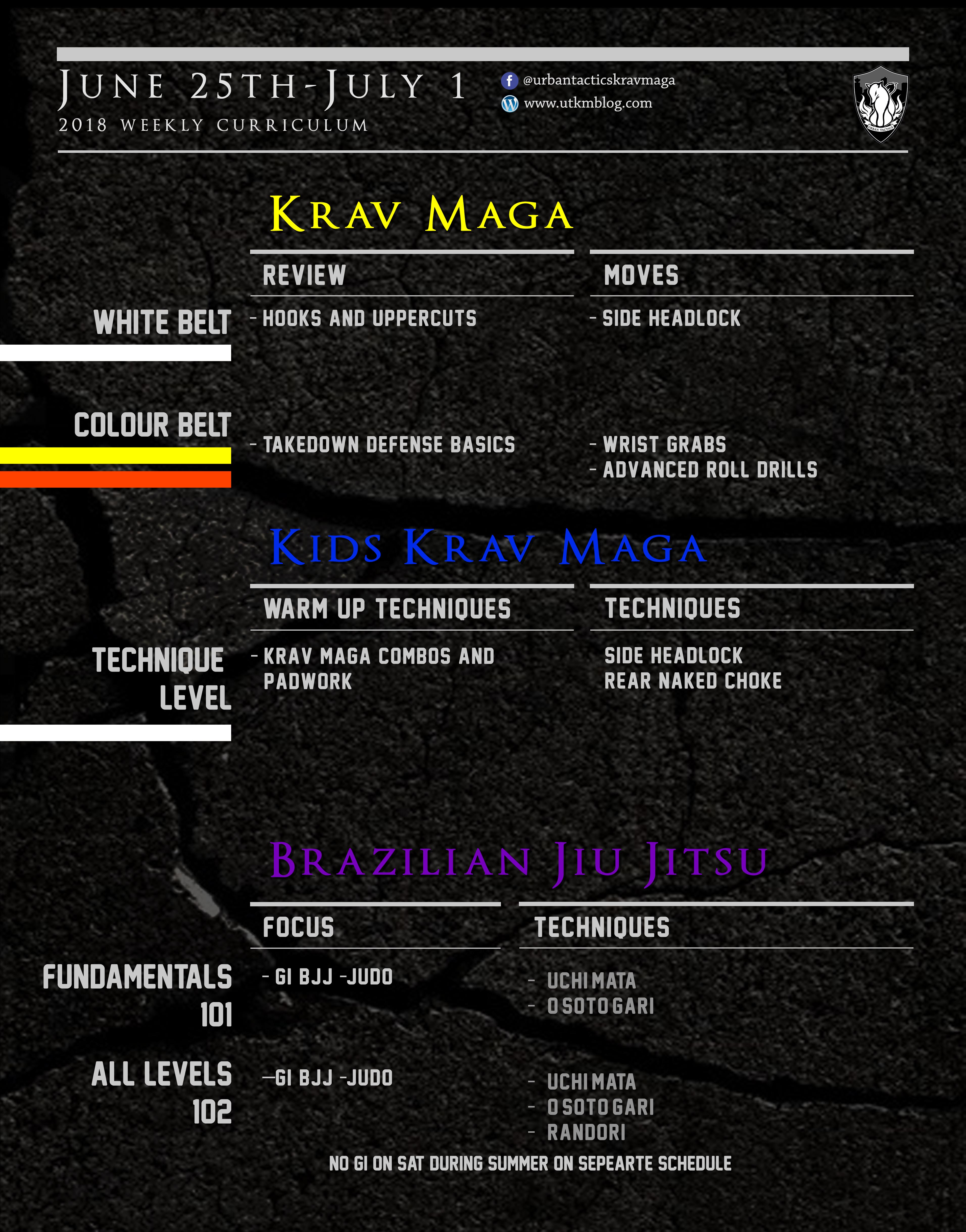 This week’s Krav Maga and BJJ curriculum: June 25th – July 1st