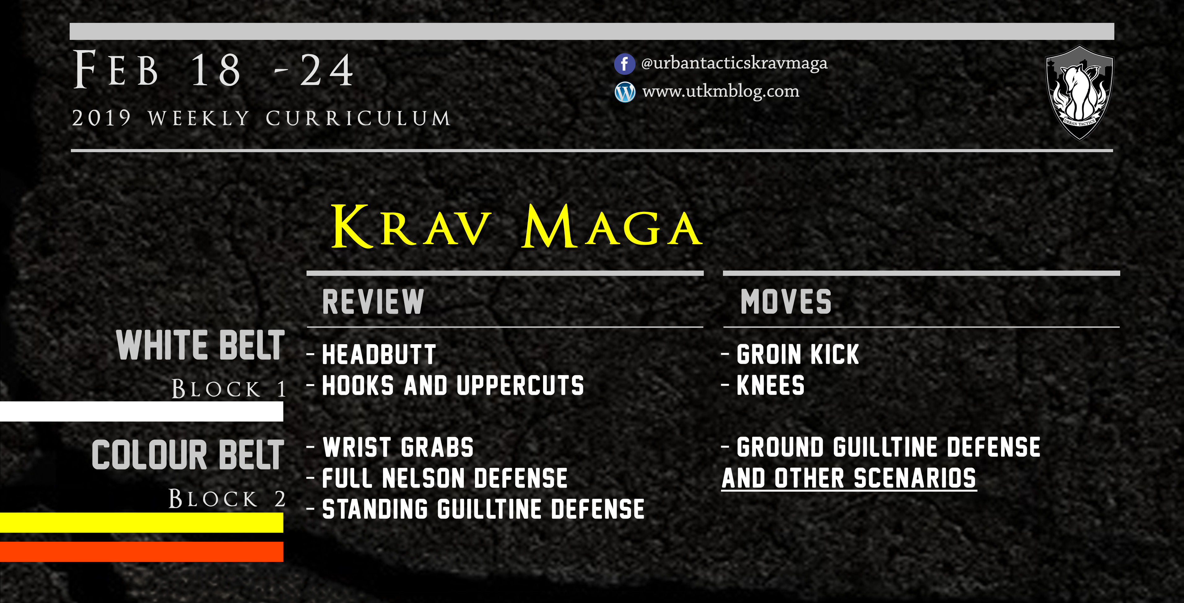 This week’s Krav Maga curriculum: Feb 18th – 24th