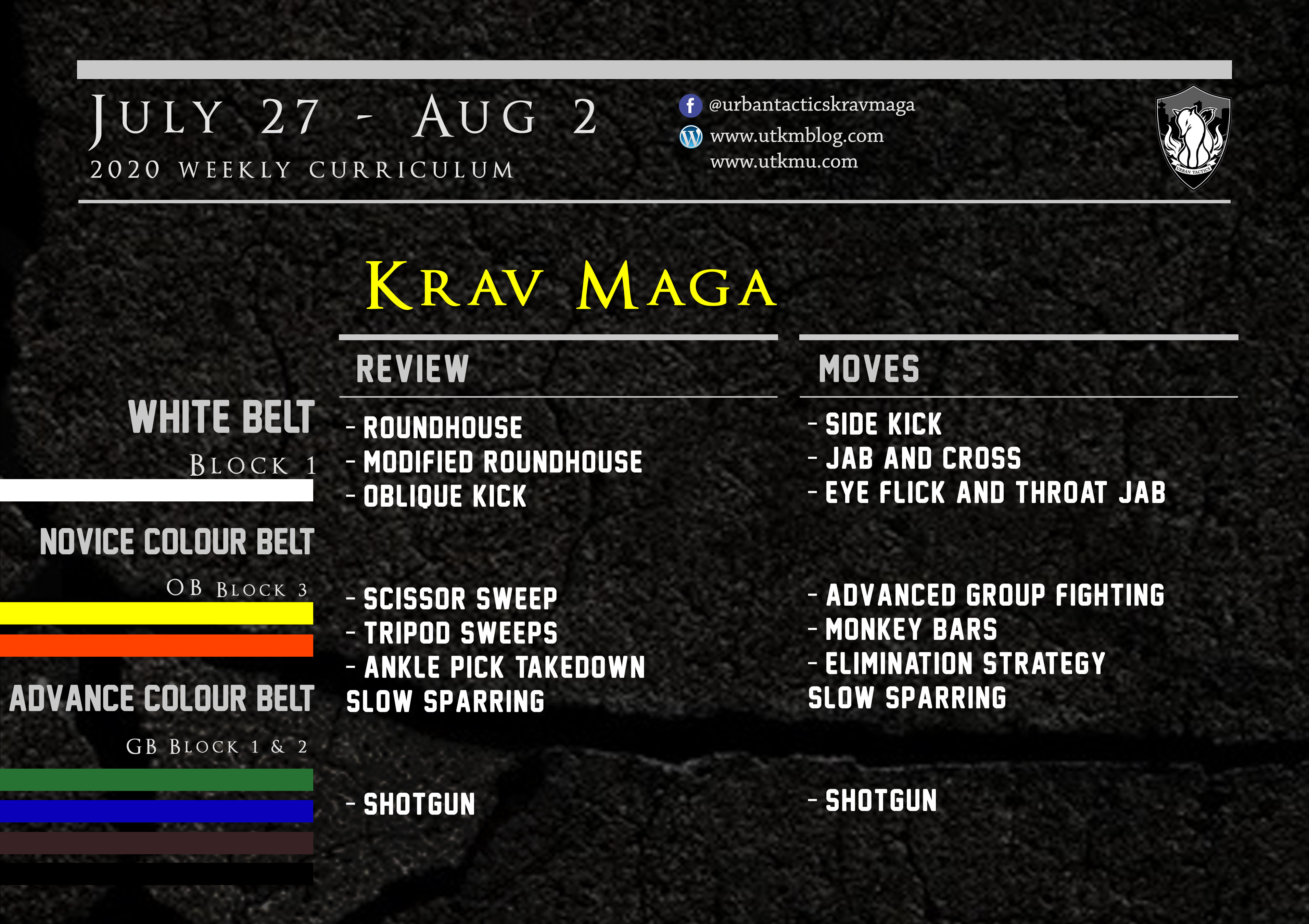 This week’s Krav Maga curriculum: (In person & Virtual) July 27th-Aug 2