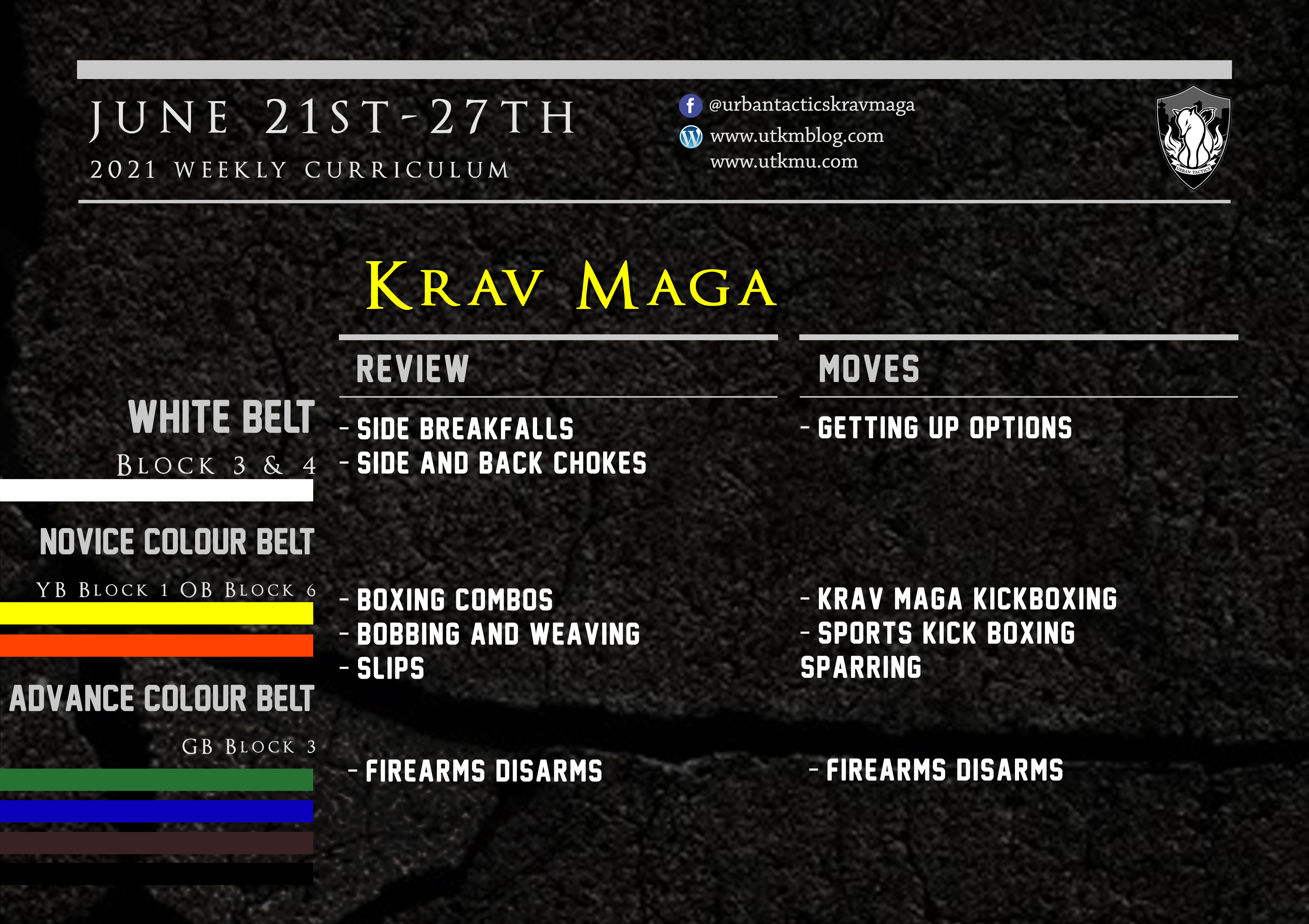This week’s Krav Maga curriculum: June 21st-27th