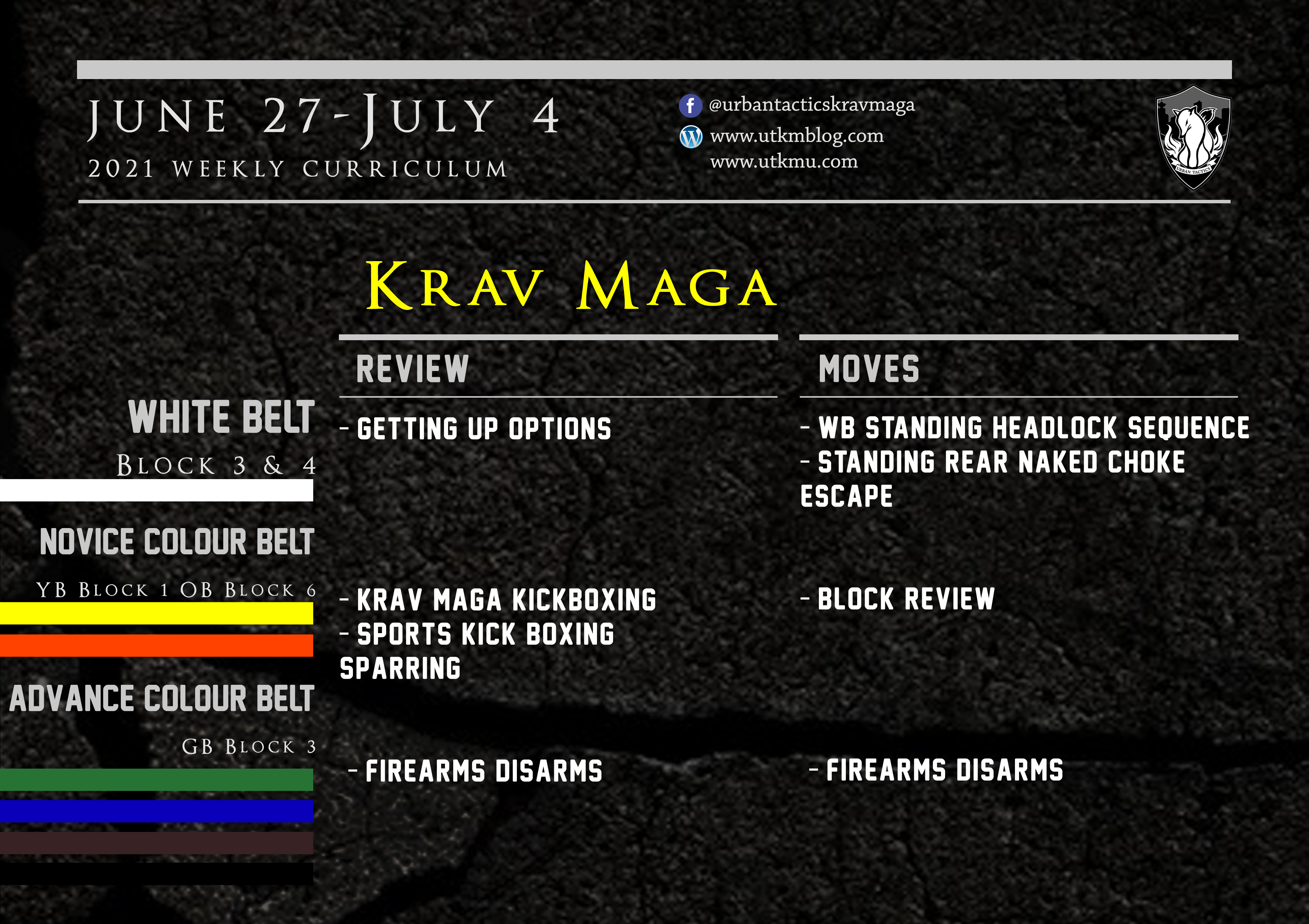 This week’s Krav Maga curriculum: June 27st July 4th