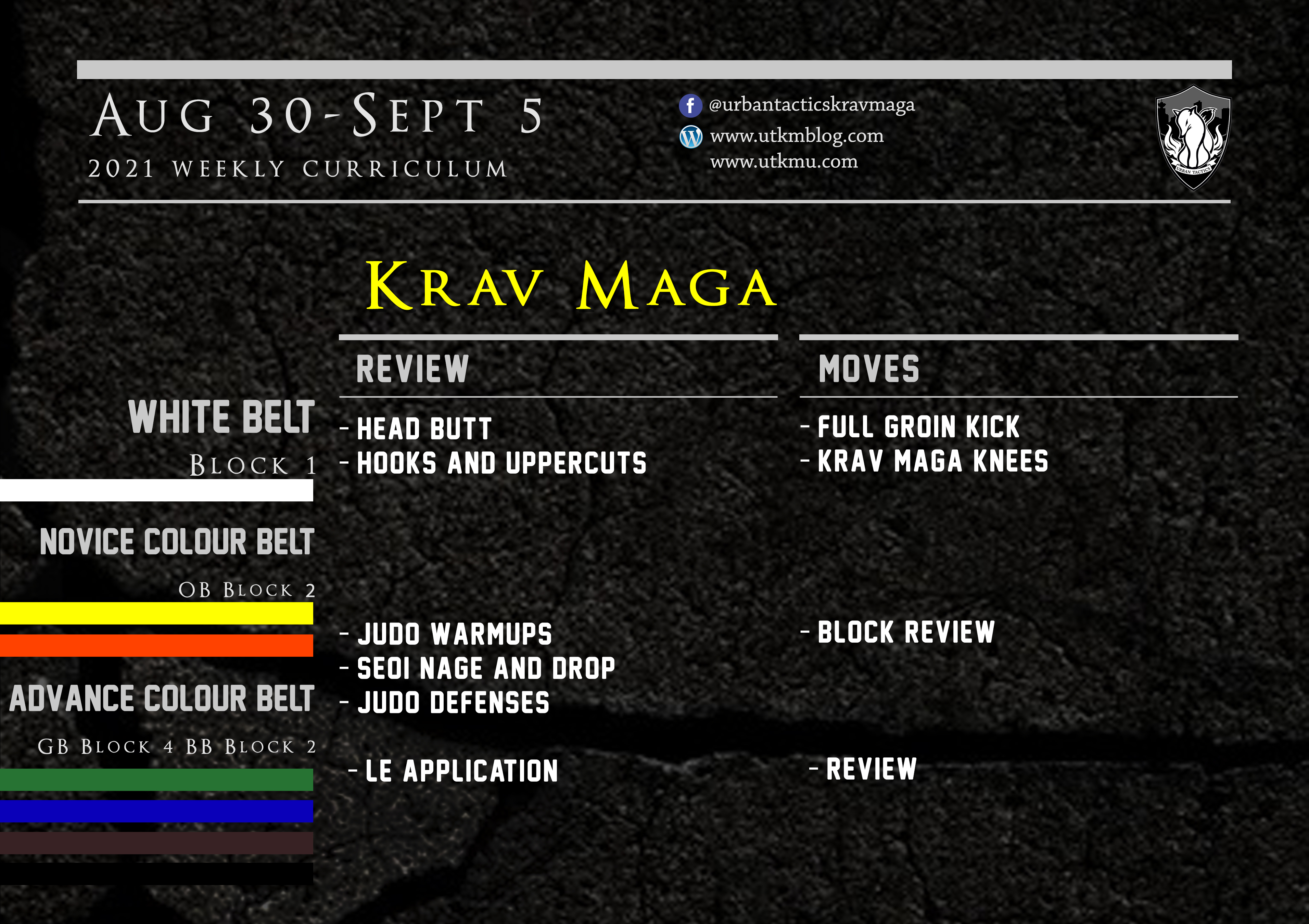 This week’s Krav Maga curriculum: Aug 30-Sept 5th
