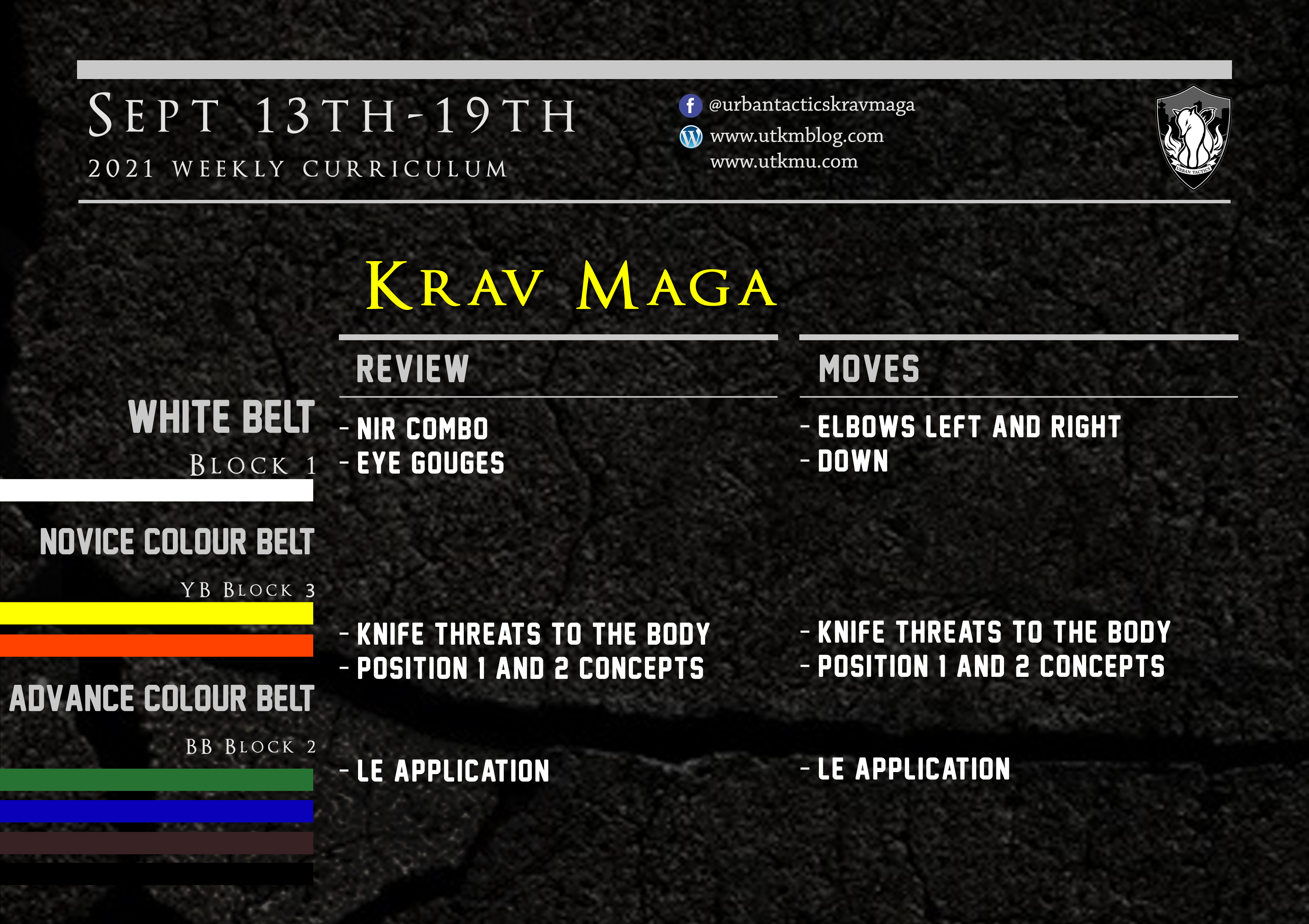 This week’s Krav Maga curriculum: Sept 13th-19th