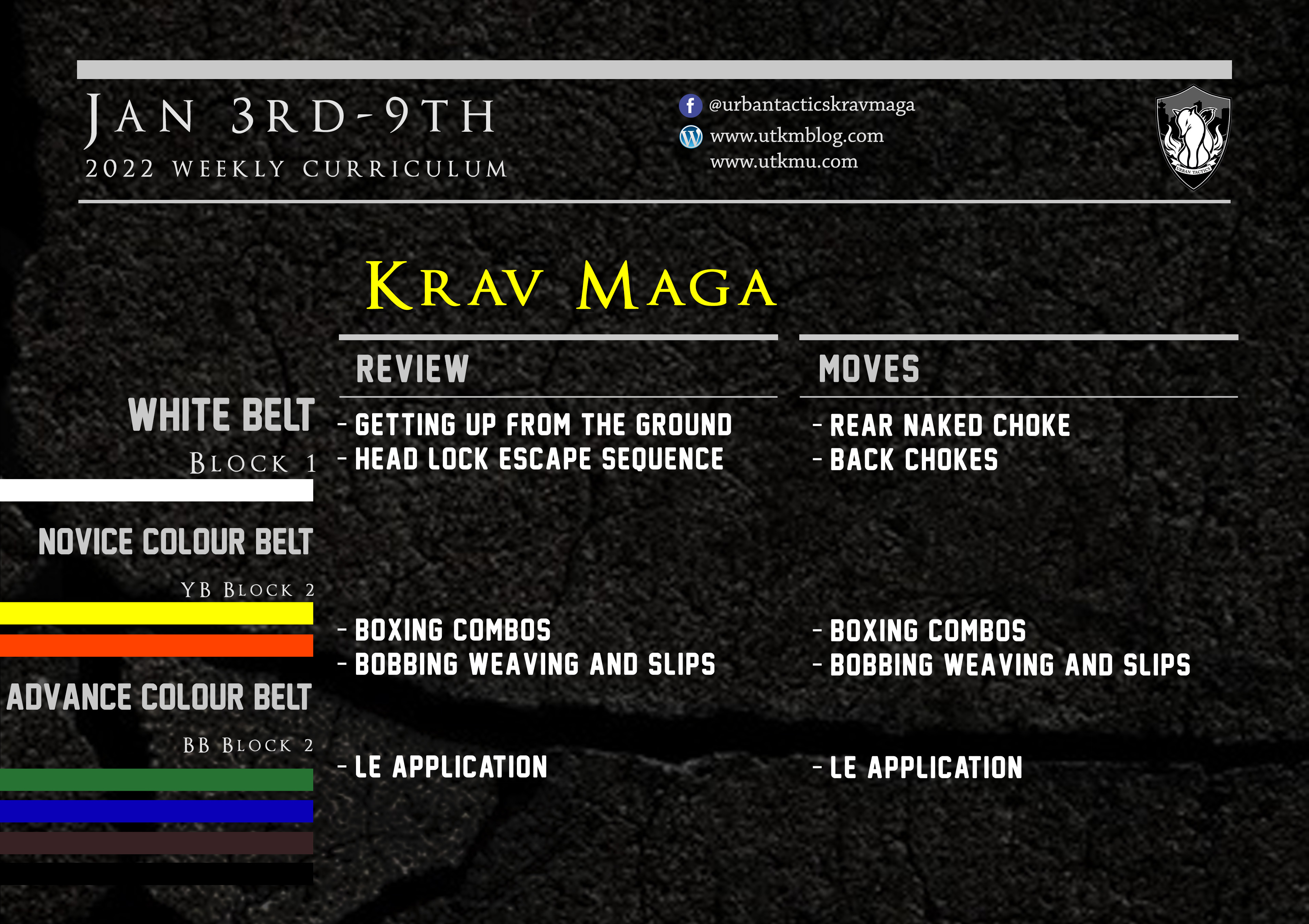 This week’s Krav Maga curriculum: Jan 3rd – 9th