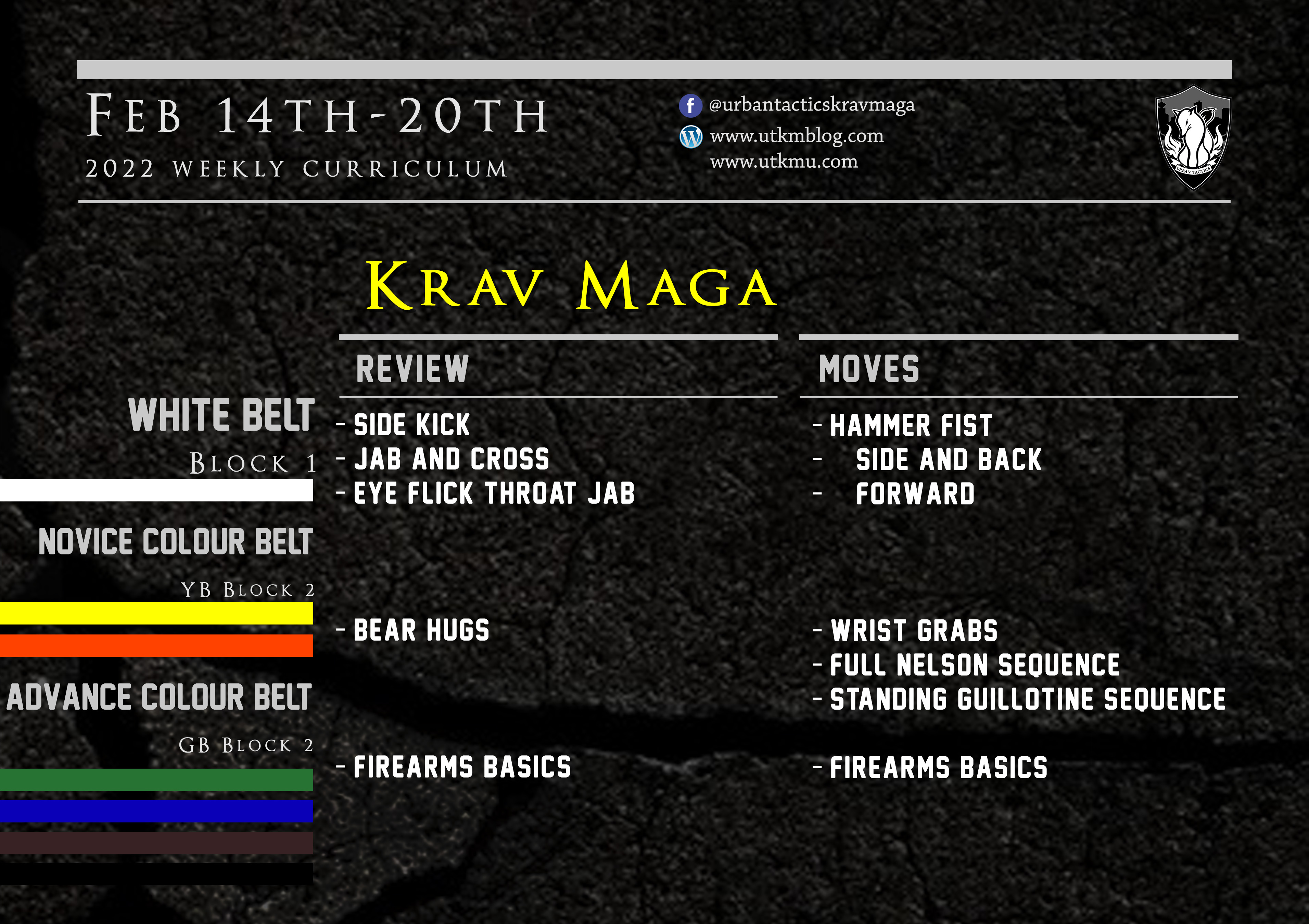 This week’s Krav Maga curriculum: Feb 14th – 20th