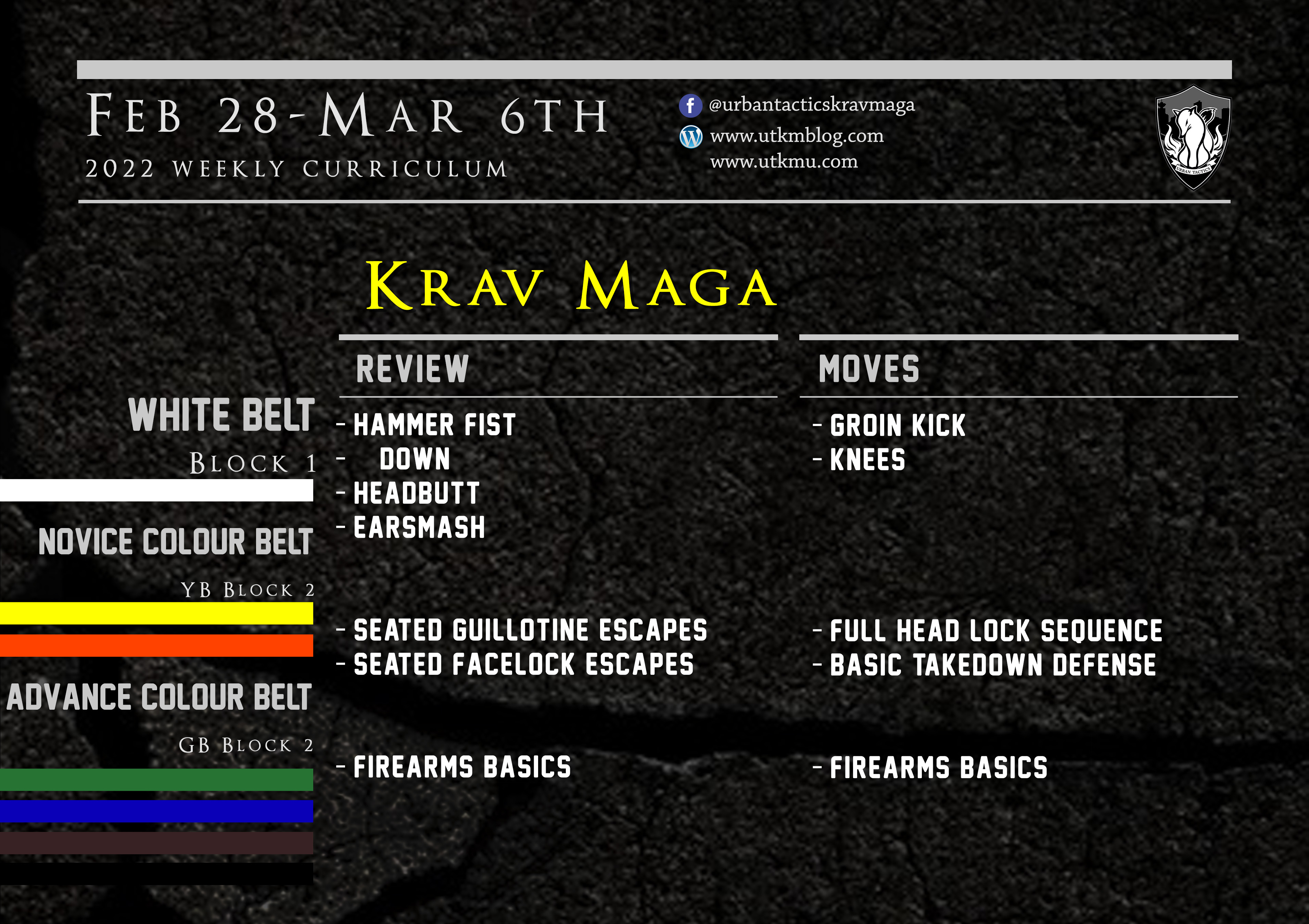 This week’s Krav Maga curriculum: Feb 28th – Mar 6th