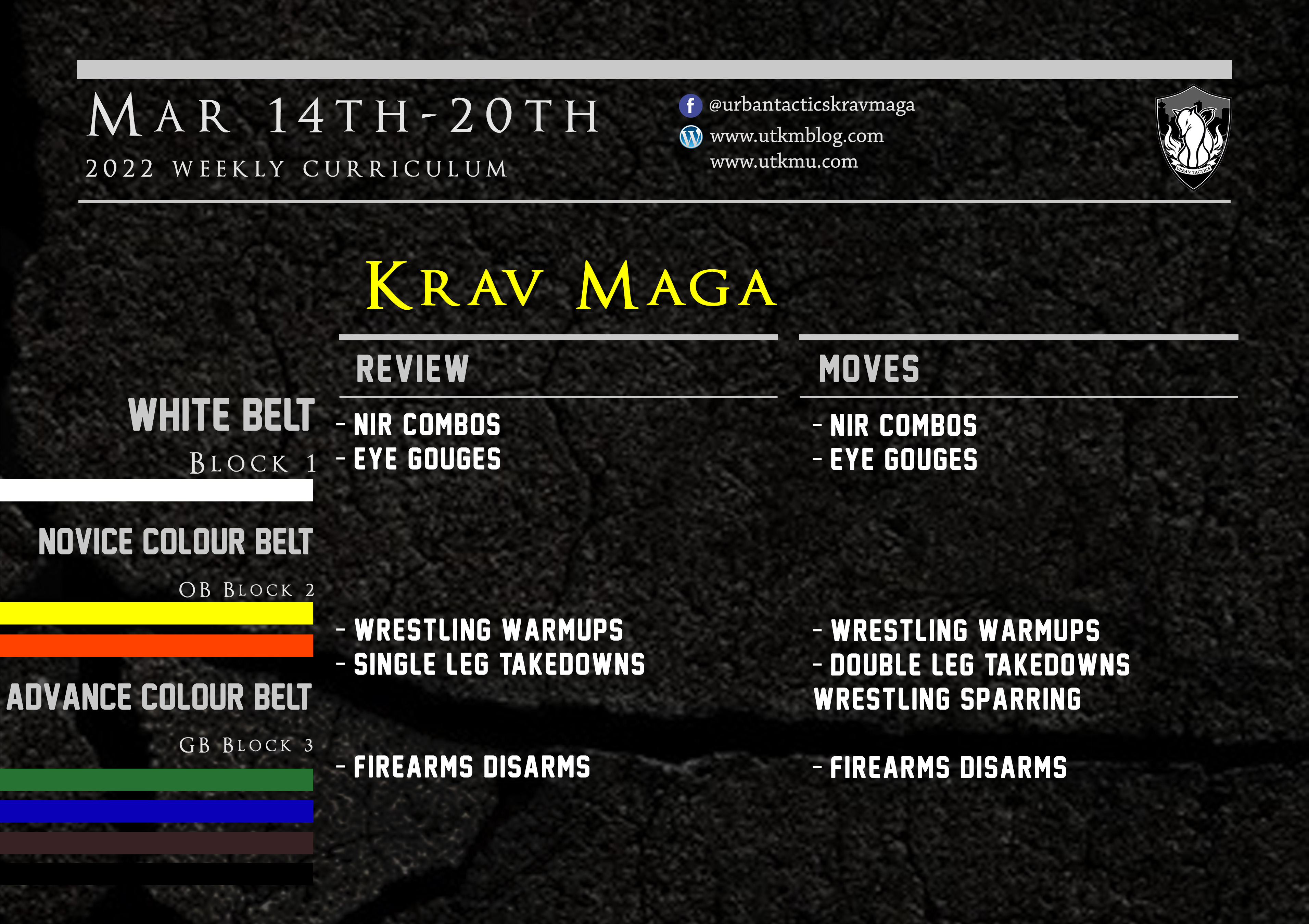 This week’s Krav Maga curriculum: Mar 14th – 20th