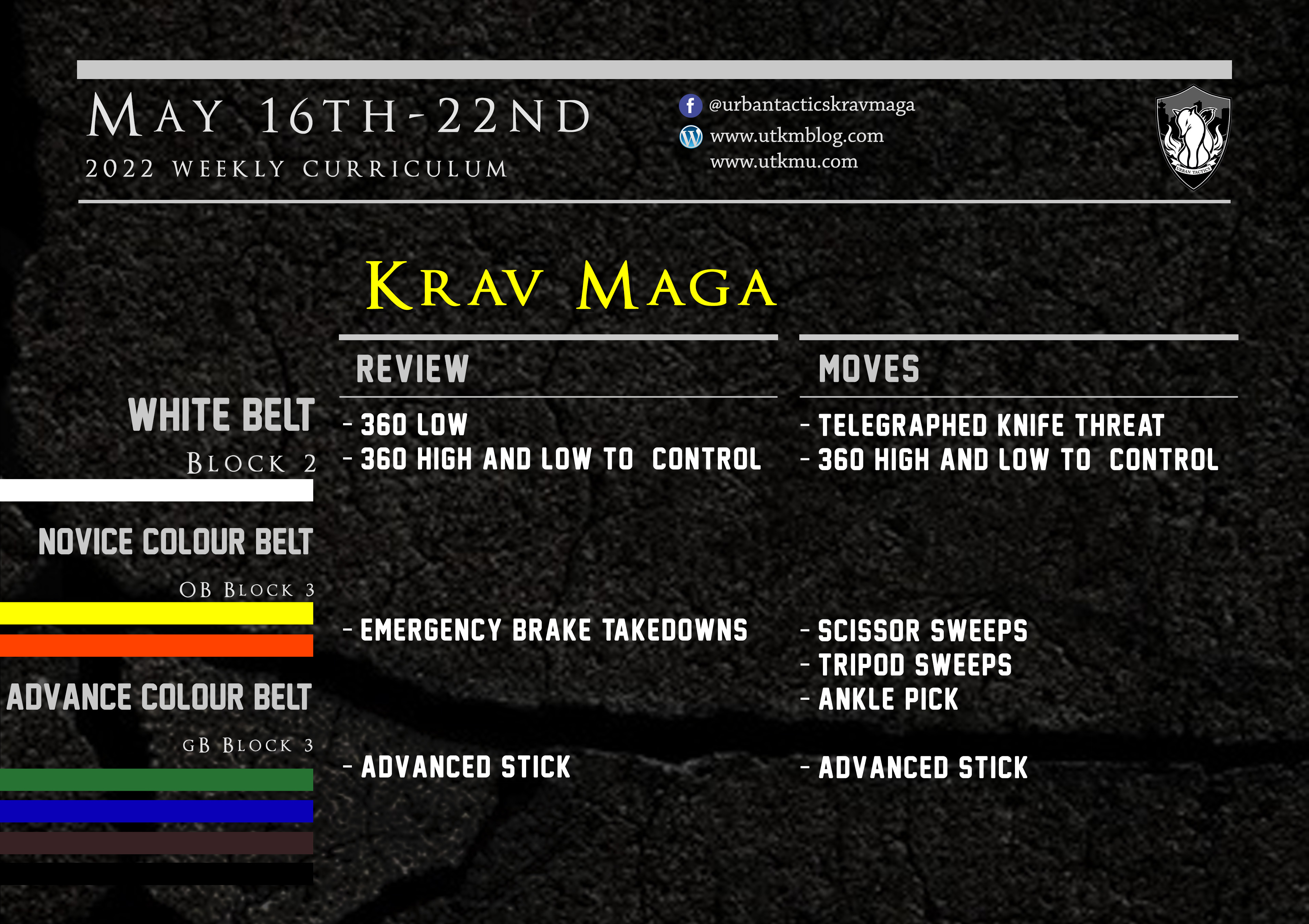 This week’s Krav Maga curriculum: May 16nd – 22nd