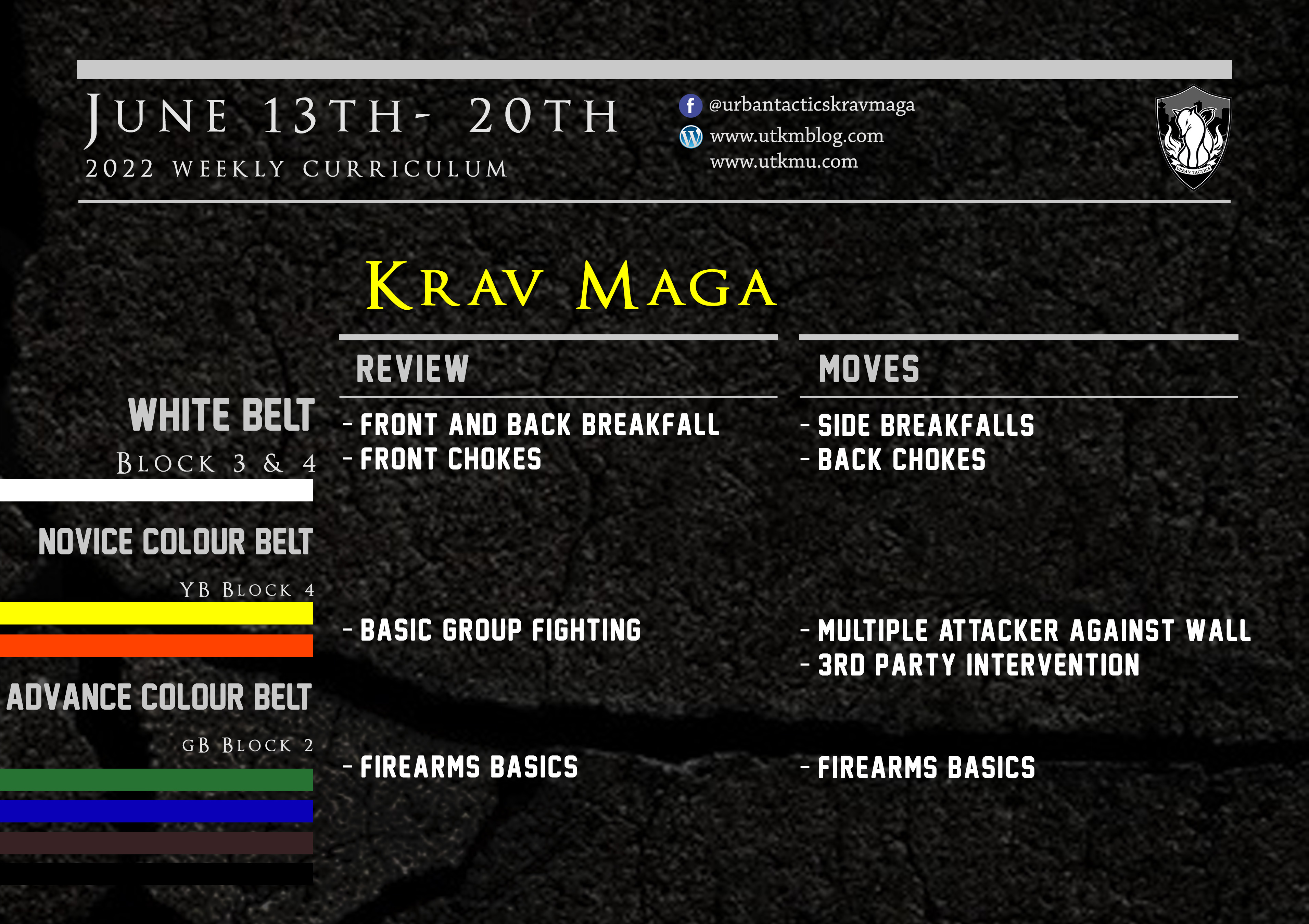 This week’s Krav Maga curriculum: June 13th – 20th