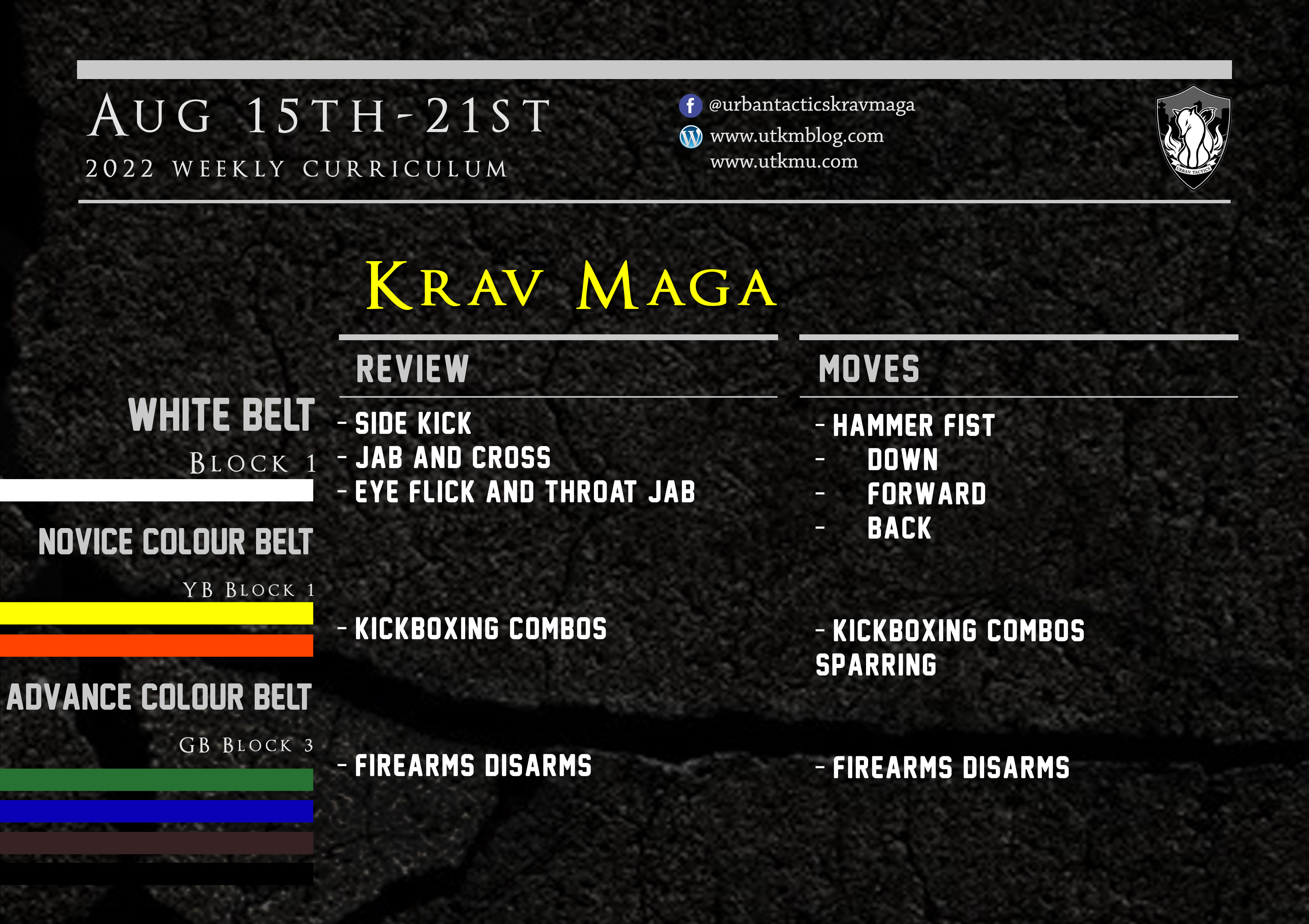 This week’s Krav Maga curriculum: Aug 15th – 21st