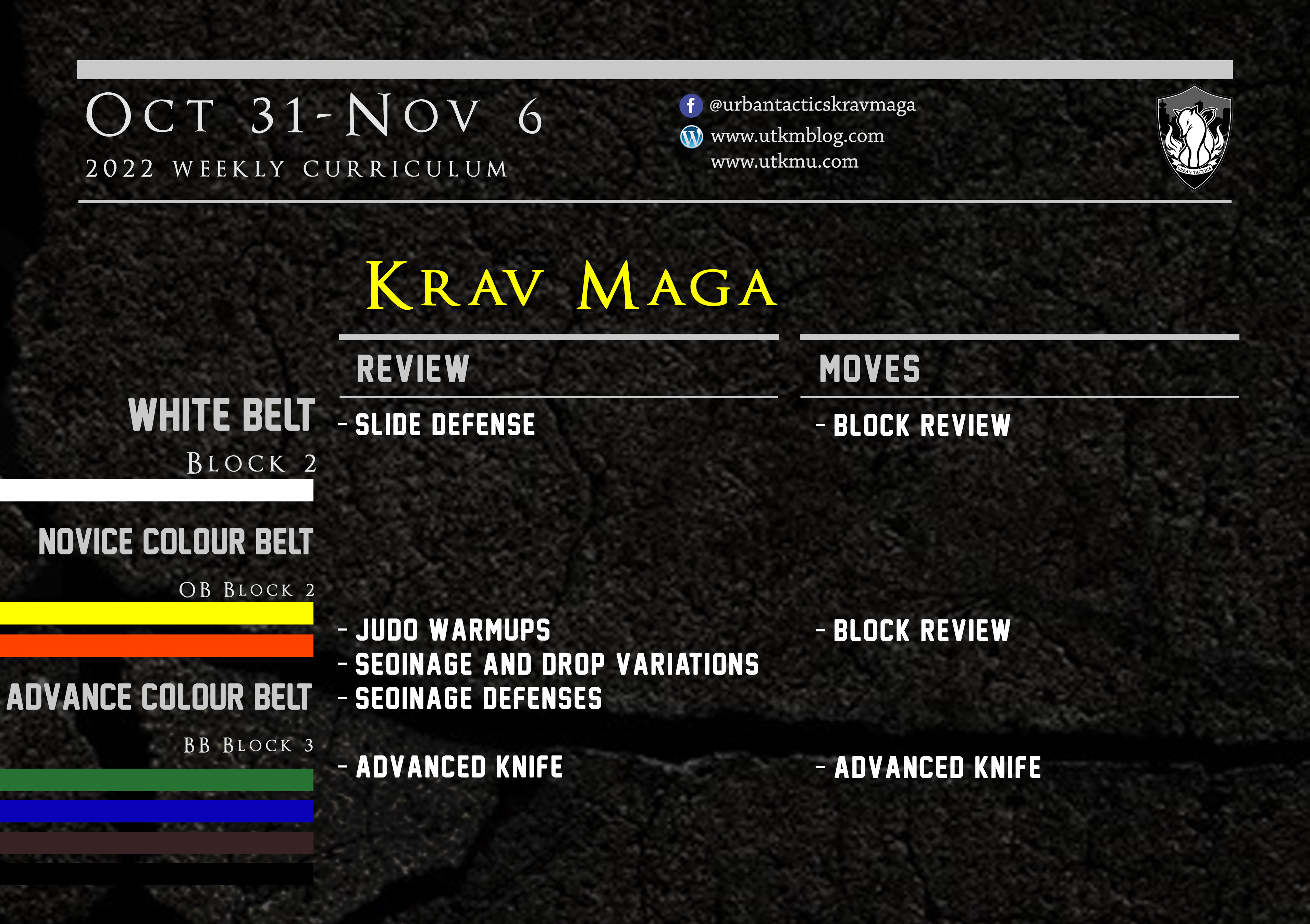 This week’s Krav Maga curriculum: Oct 31st – Nov 6th