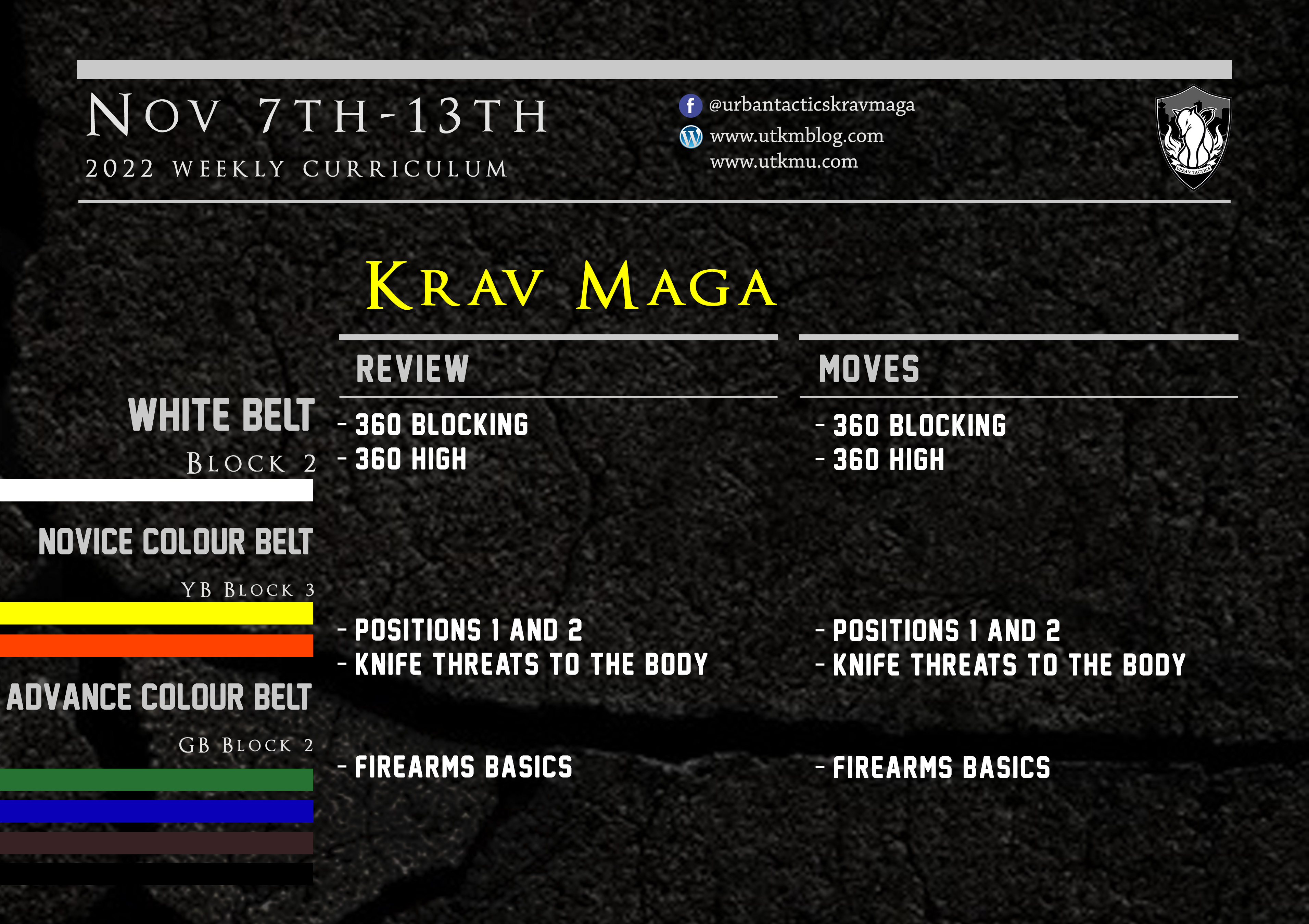This week’s Krav Maga curriculum: Nov 7th – 13th