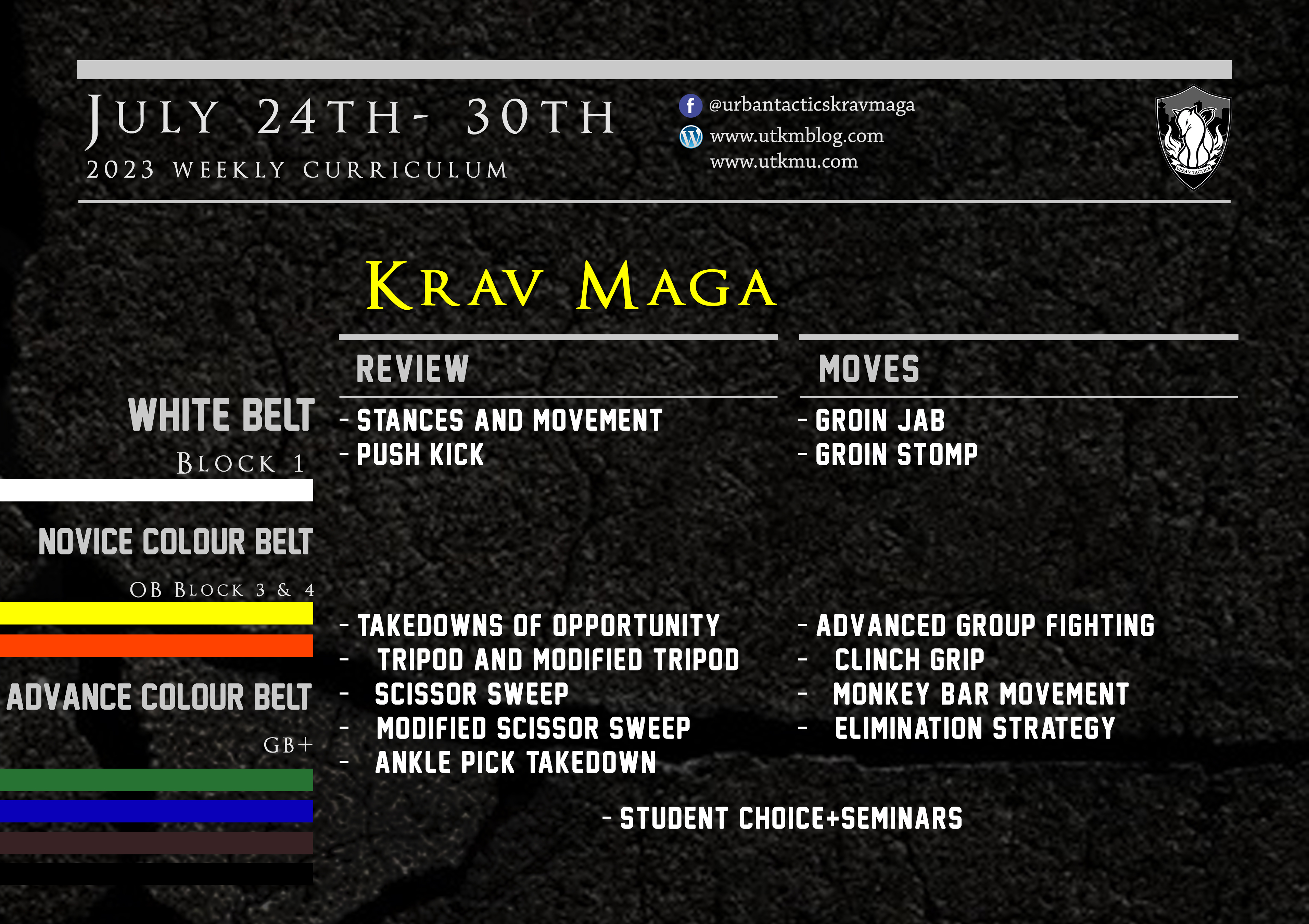 This week’s Krav Maga curriculum: July 24th – July 30th