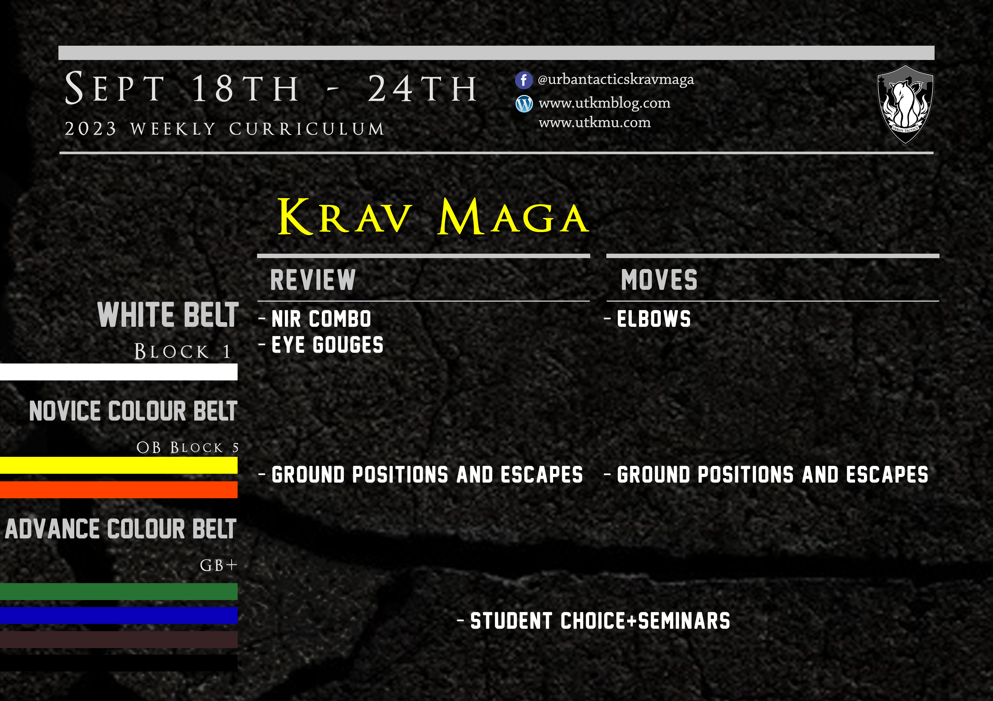 This week’s Krav Maga curriculum: Sept 18th – 24th