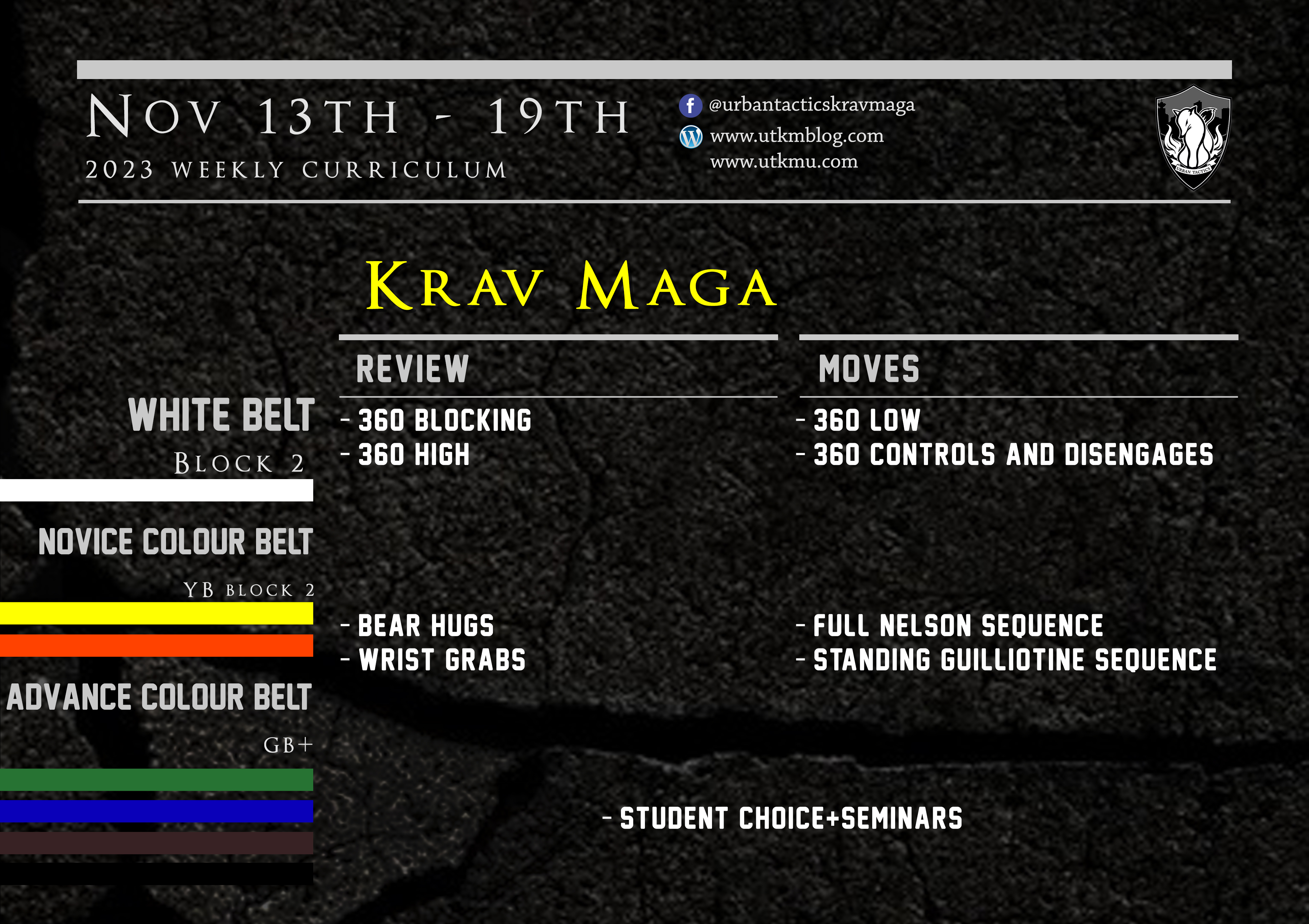 This week’s Krav Maga curriculum: Nov 13th – 19th