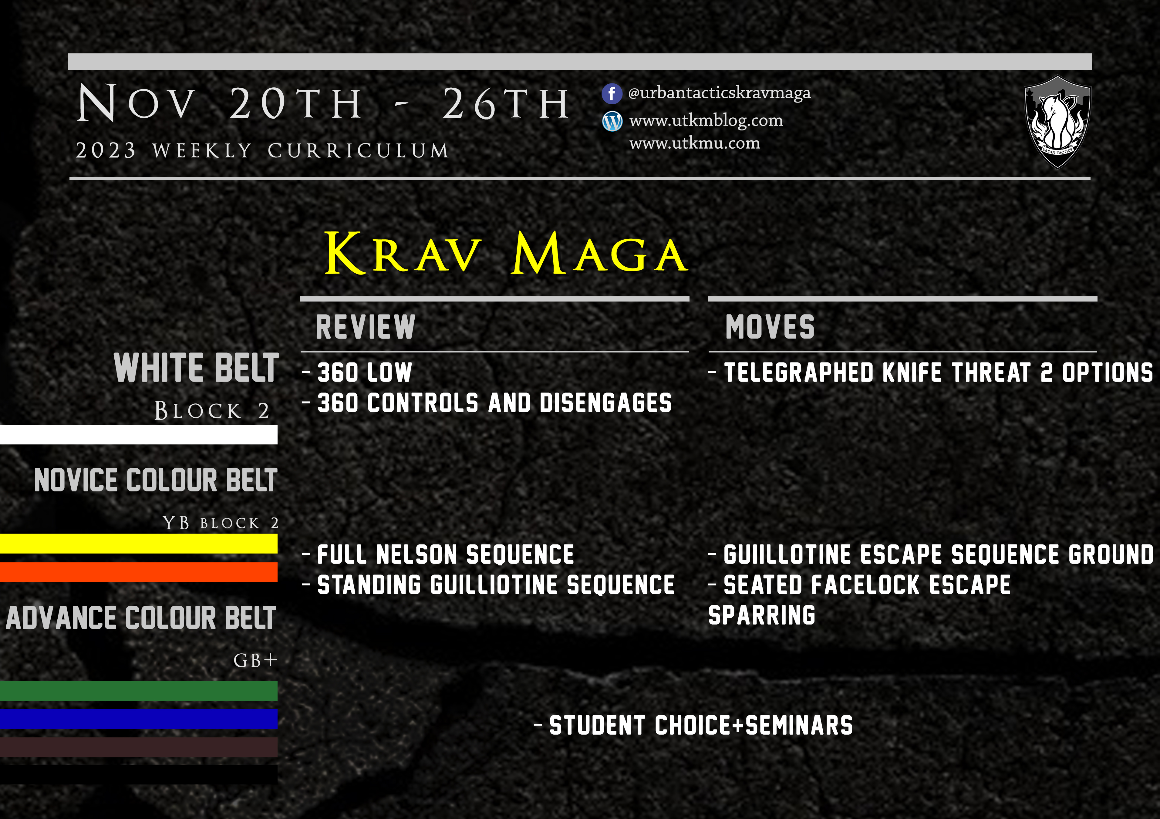 This week’s Krav Maga curriculum: Nov 20th – 26th