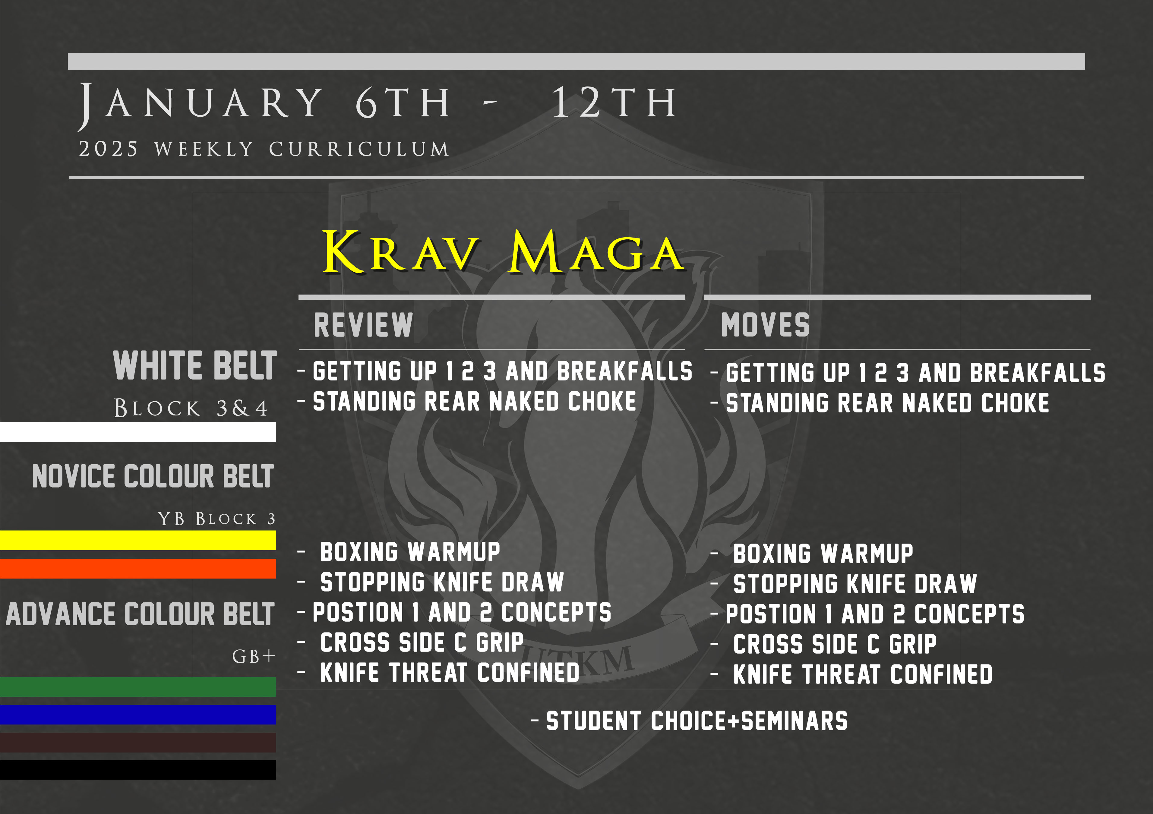 This week’s Krav Maga curriculum: January 6th – 12th