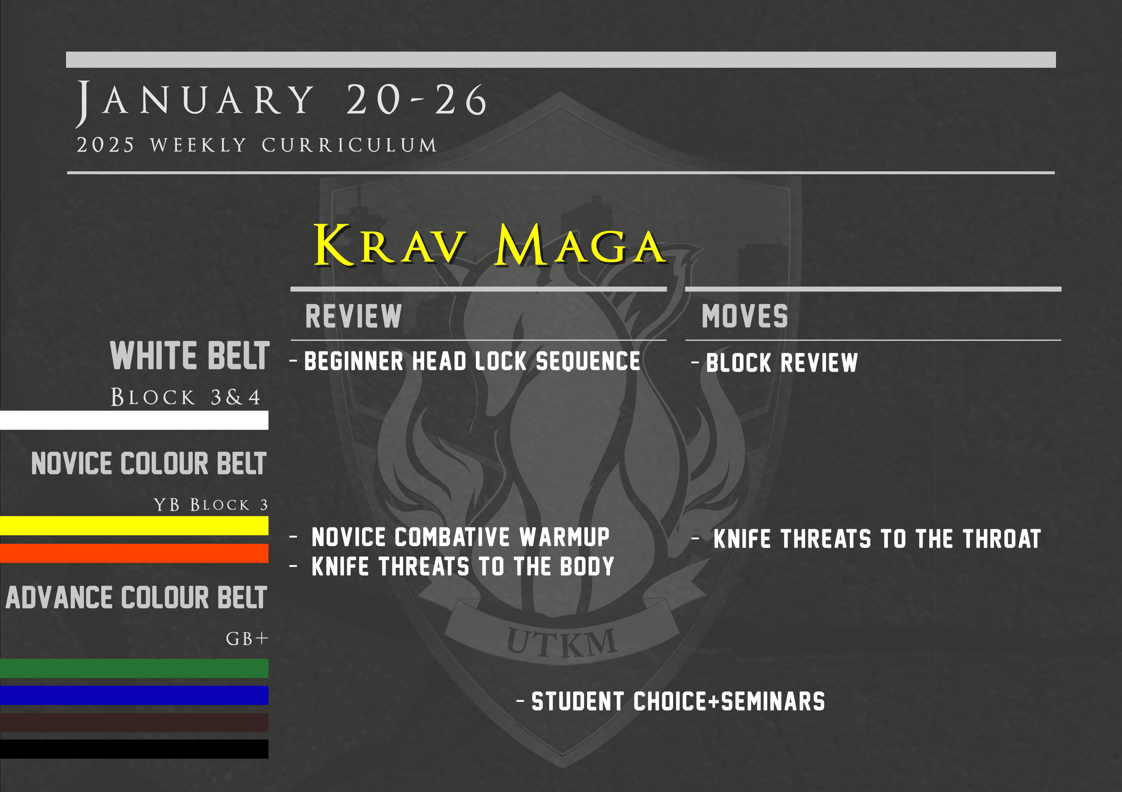 This week’s Krav Maga curriculum: January 20th – 26th