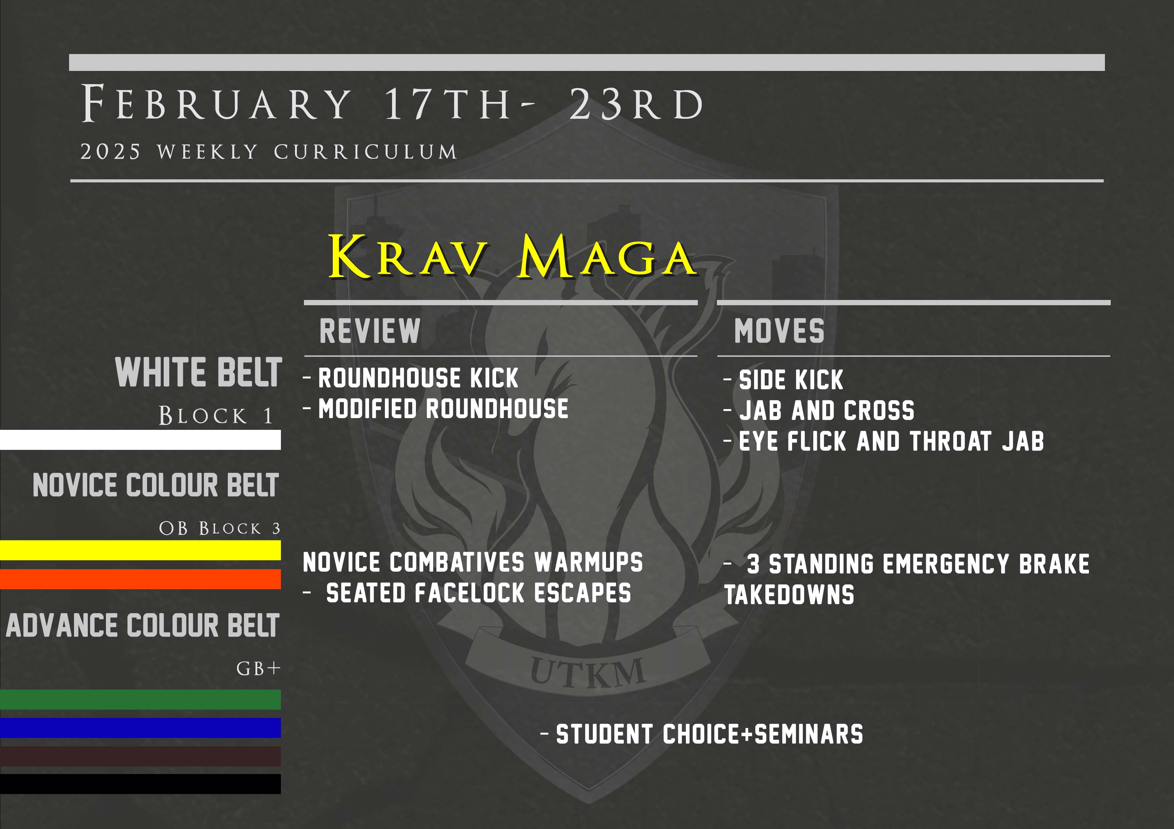 This week’s Krav Maga curriculum: February 17th – February 23rd