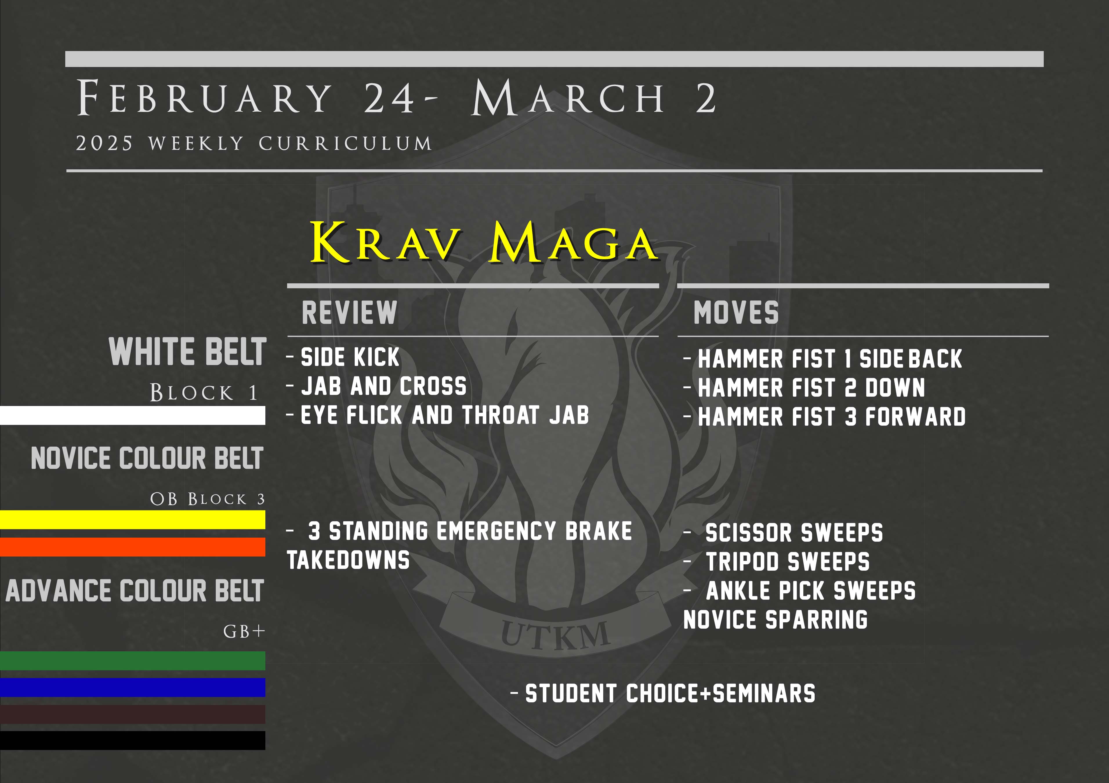 This week’s Krav Maga curriculum: February 24th – March 2nd