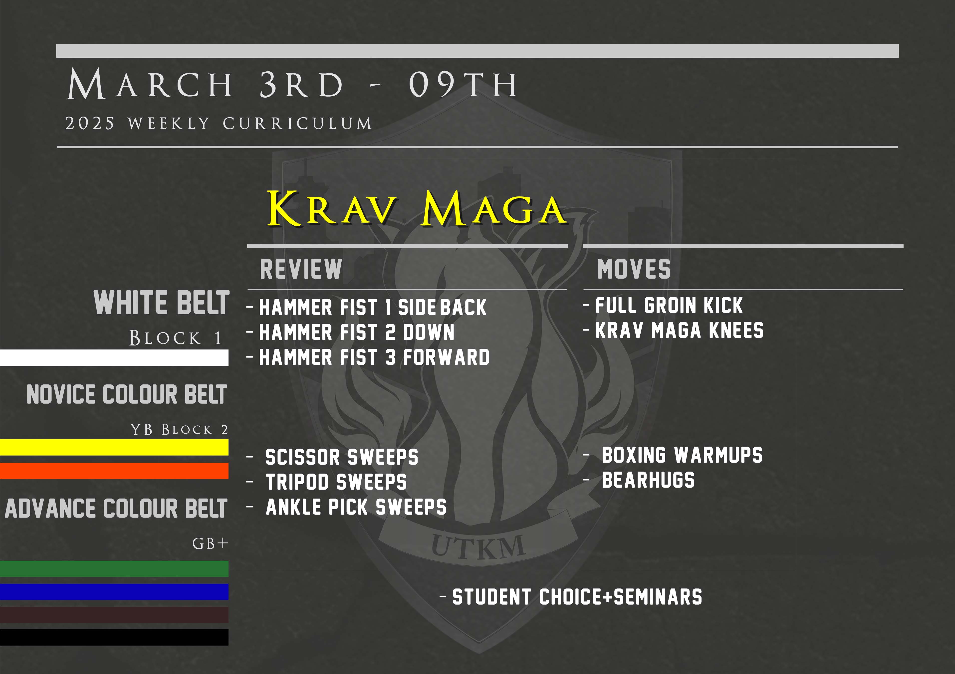 This week’s Krav Maga curriculum: March 3rd – 9th