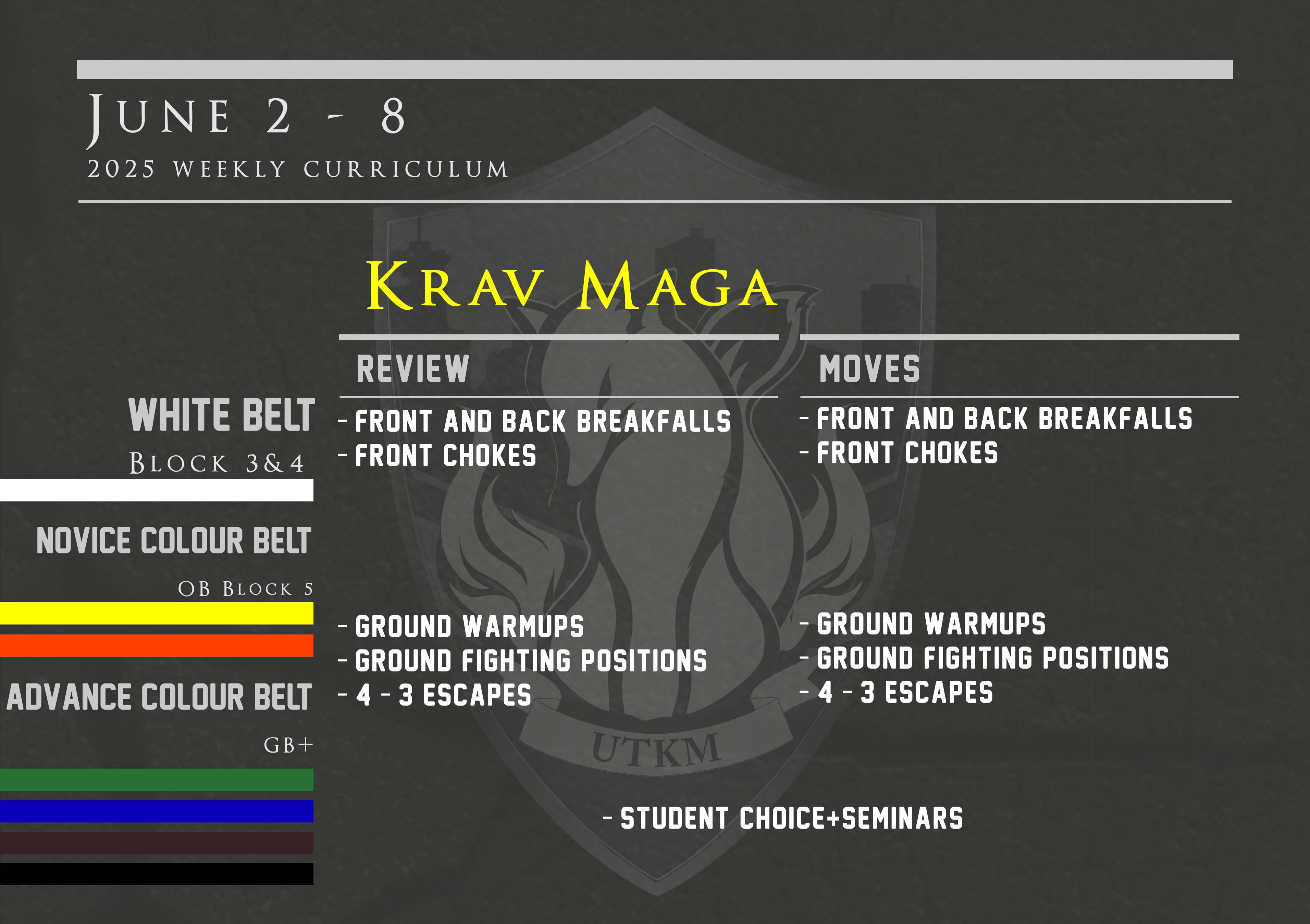 This week’s Krav Maga curriculum: June 2nd – 8th