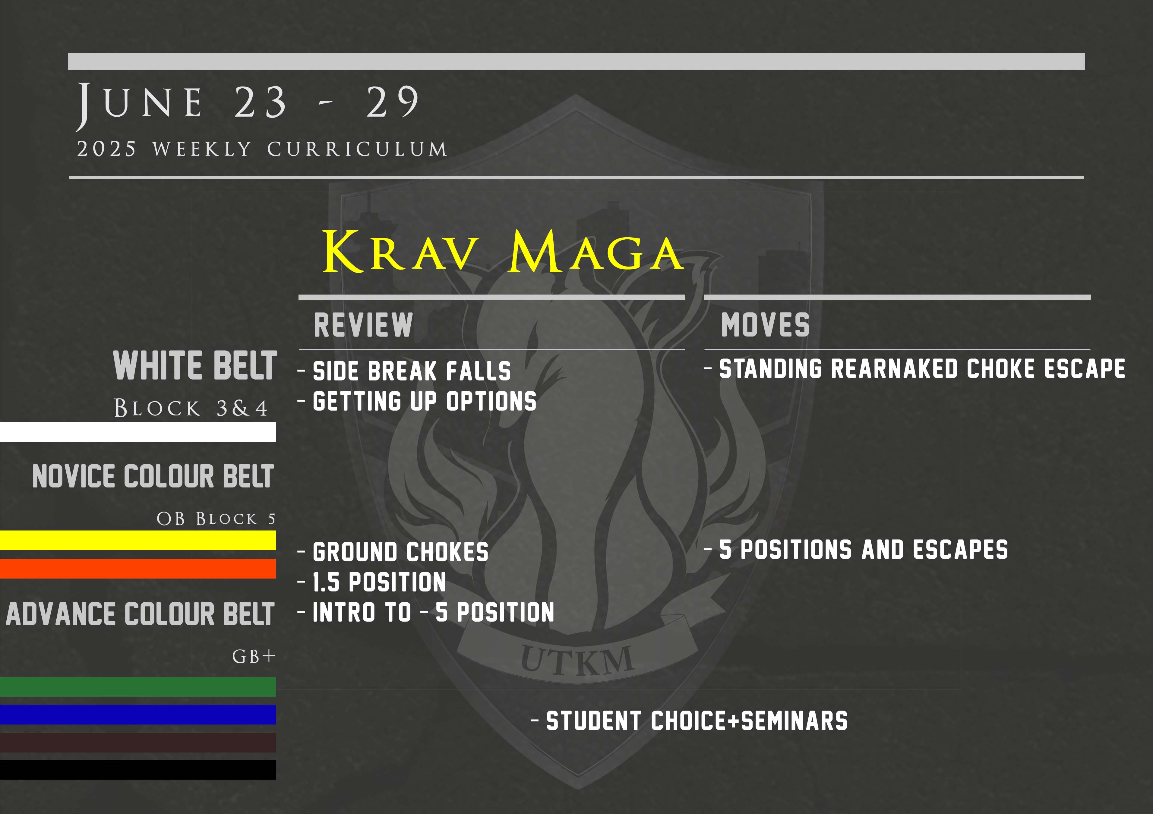 This week’s Krav Maga curriculum: June 23rd – 29th