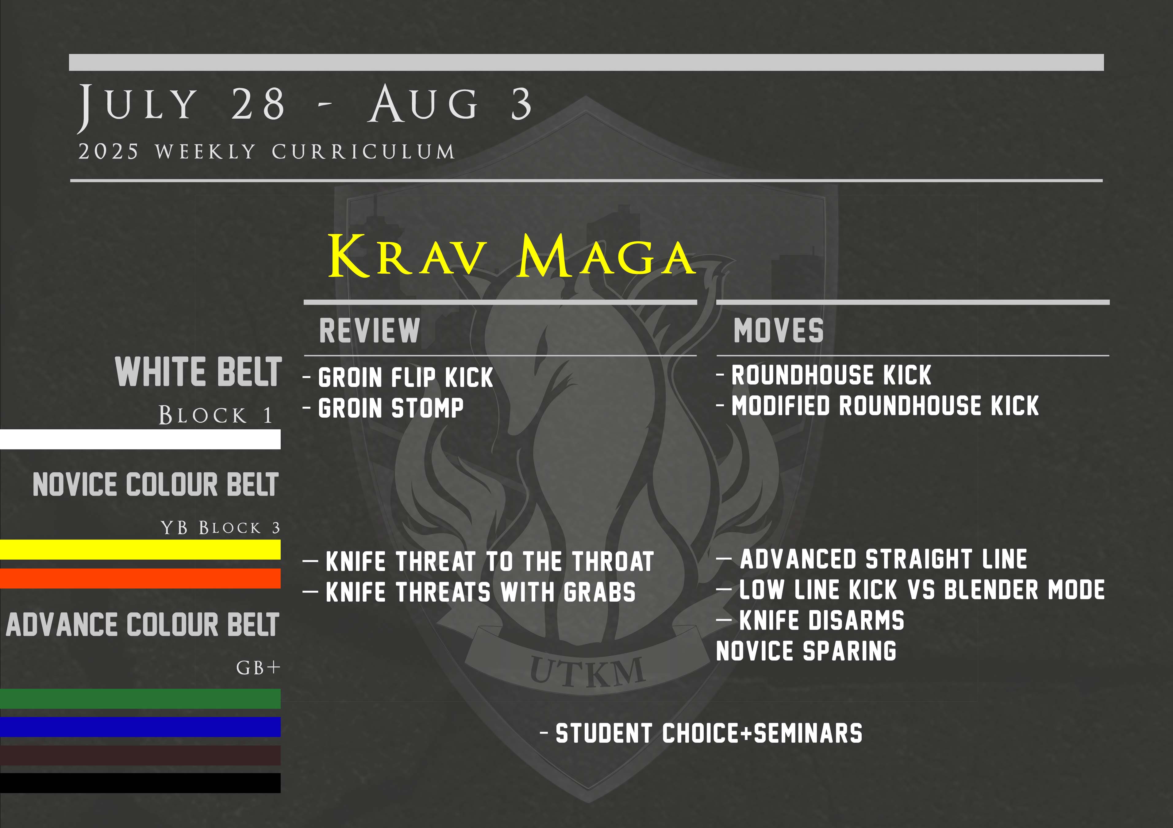 This week’s Krav Maga curriculum: July 28th – Aug 3rd