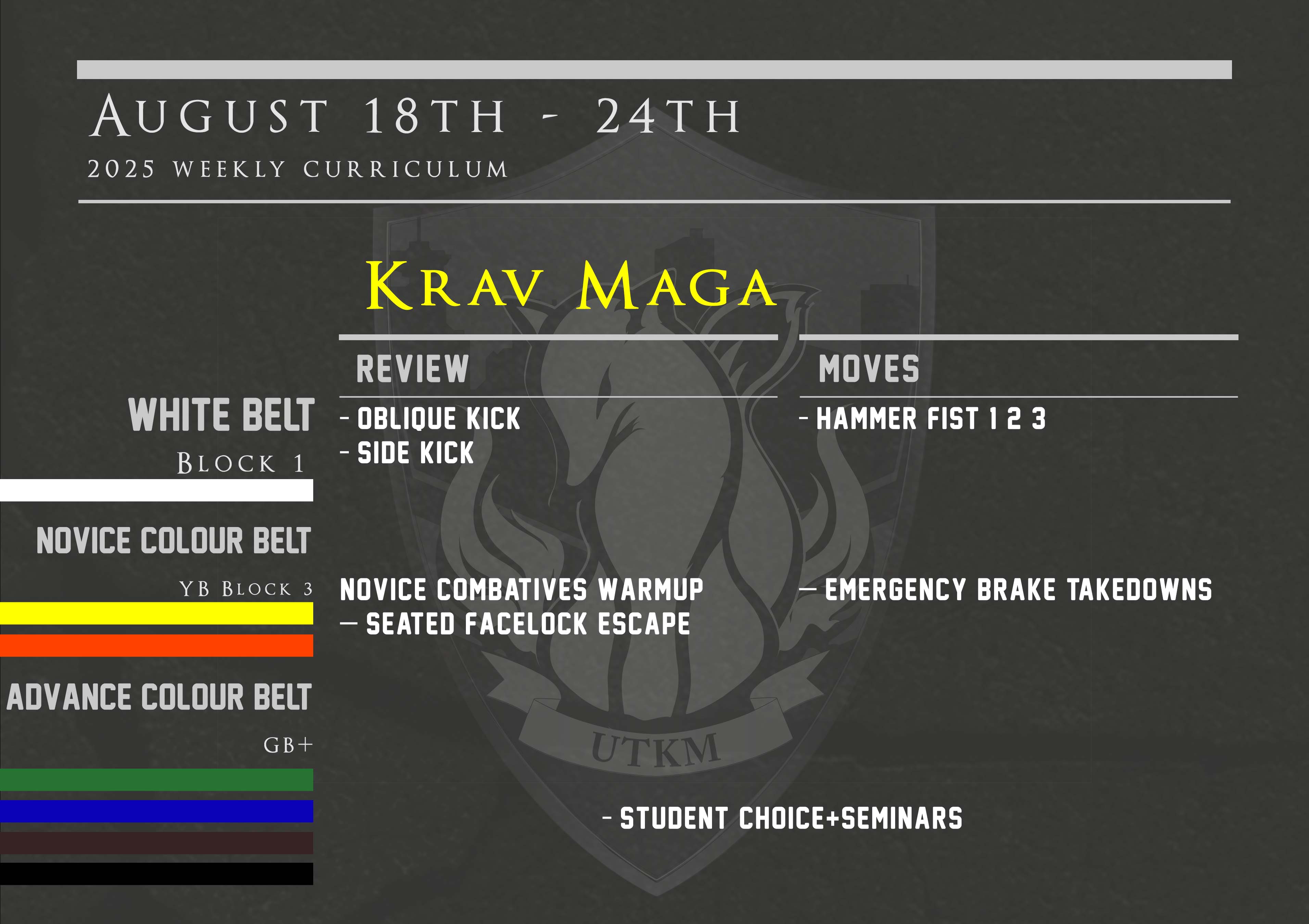 This week’s Krav Maga curriculum: Aug 18th – 24th