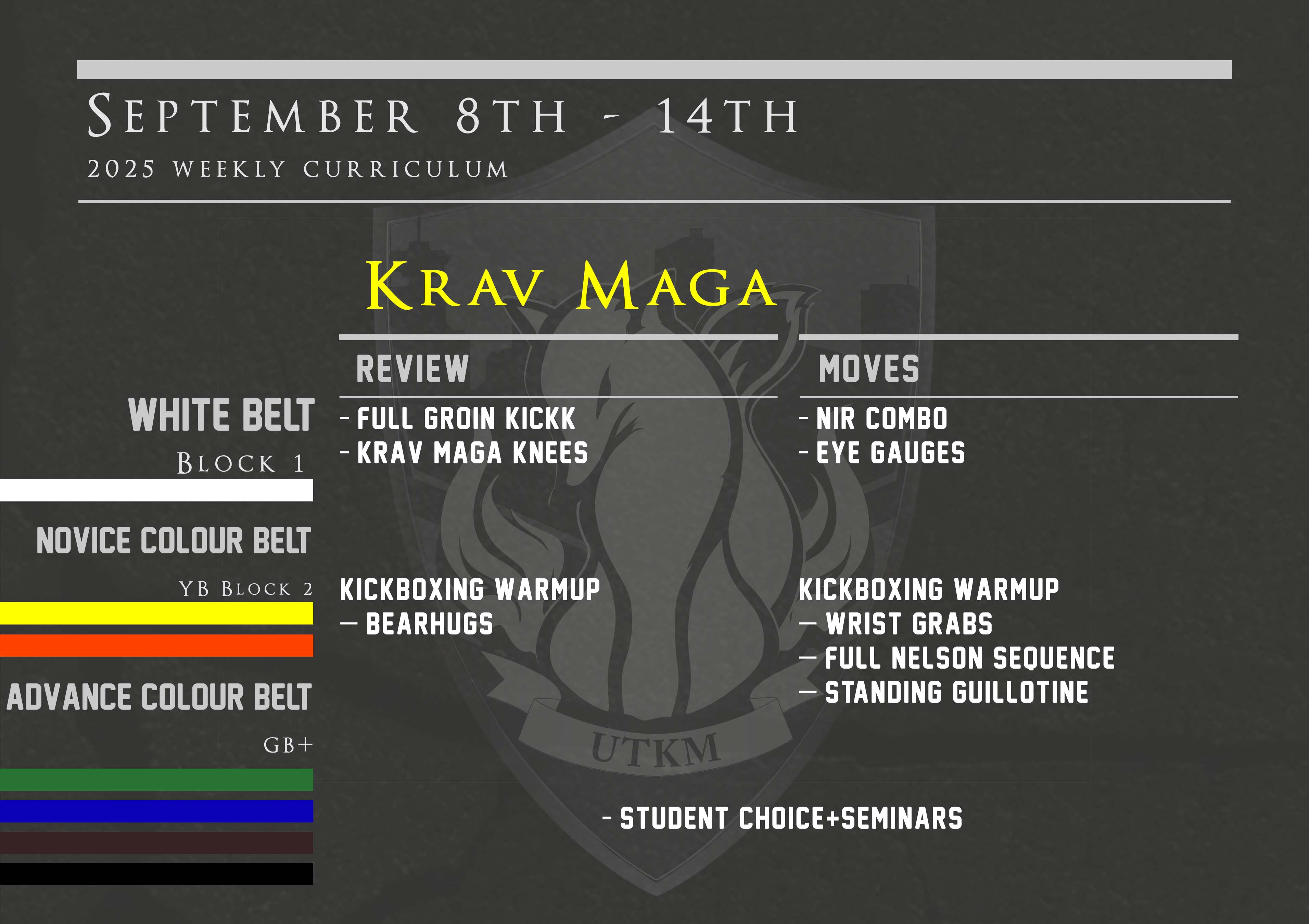 This week’s Krav Maga curriculum: Sept 8th – 14th