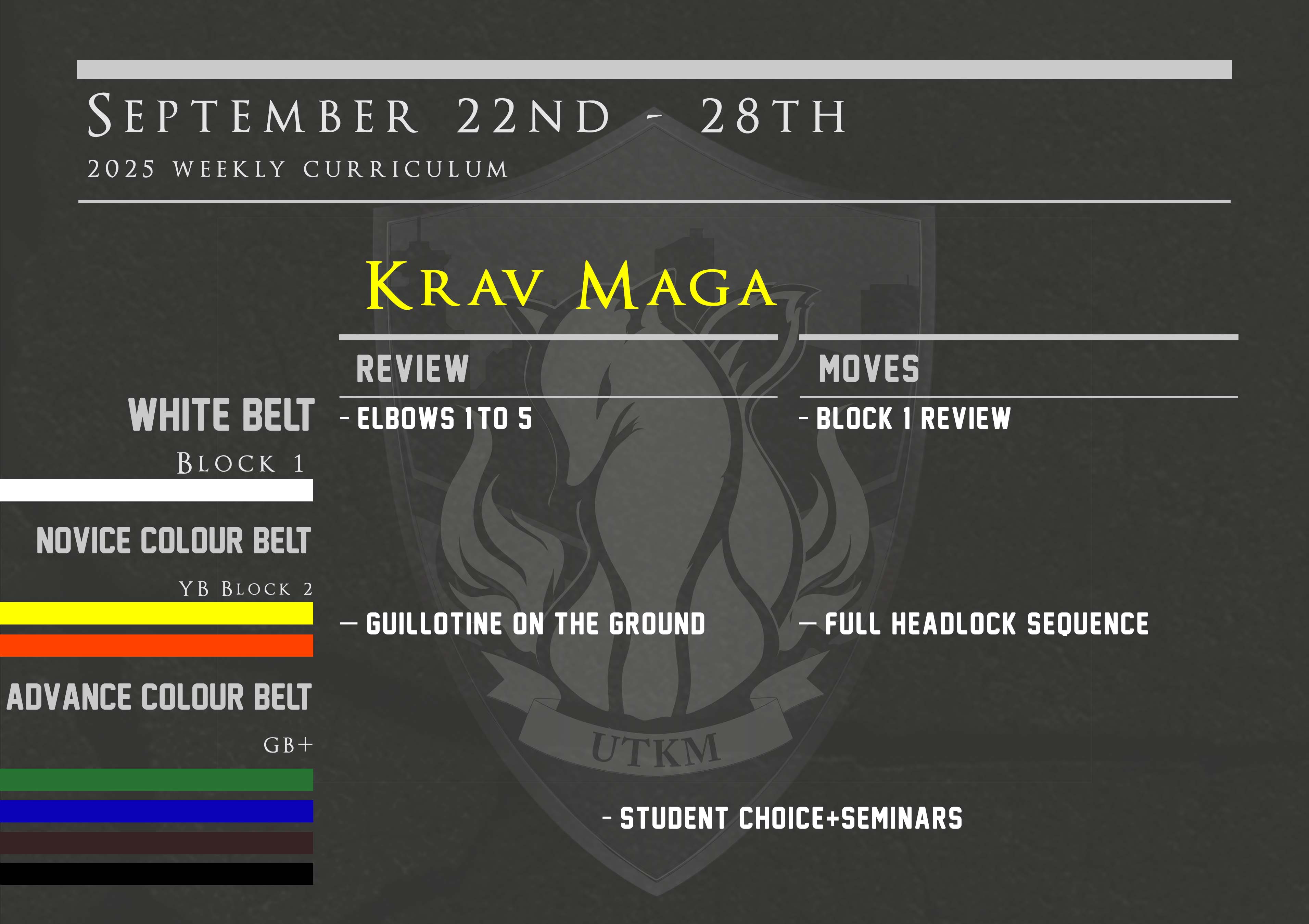 This week’s Krav Maga curriculum: Sept 22nd – 28th