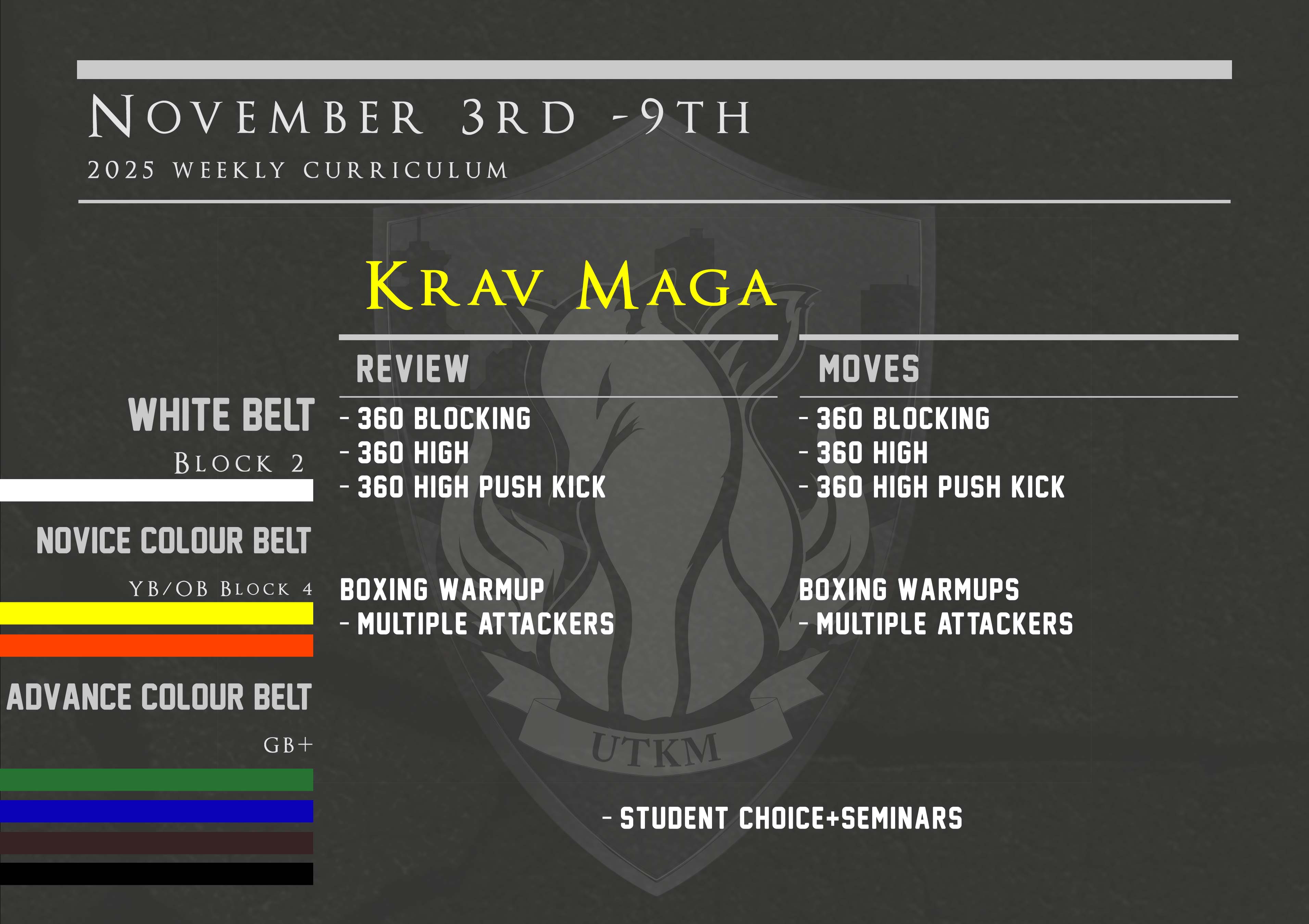 This week’s Krav Maga curriculum: Nov 3rd – 9th