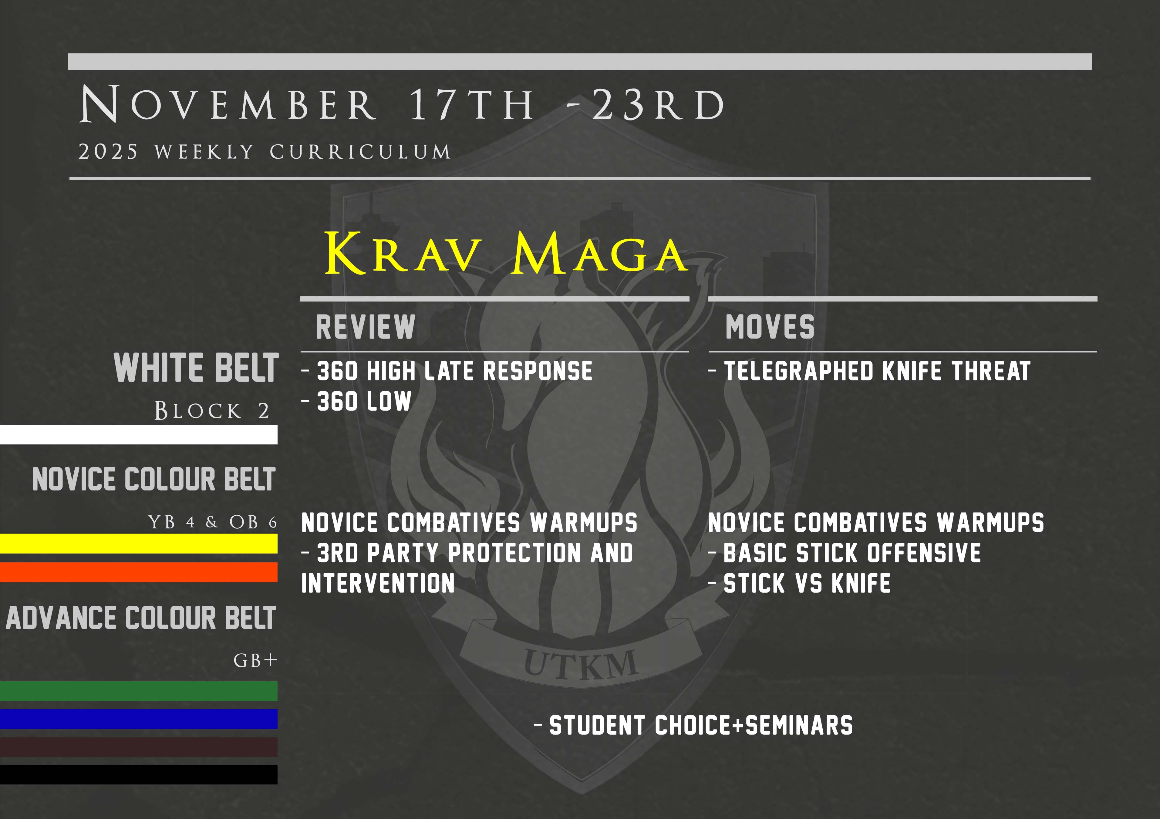 This week’s Krav Maga curriculum: Nov 17th – 23rd