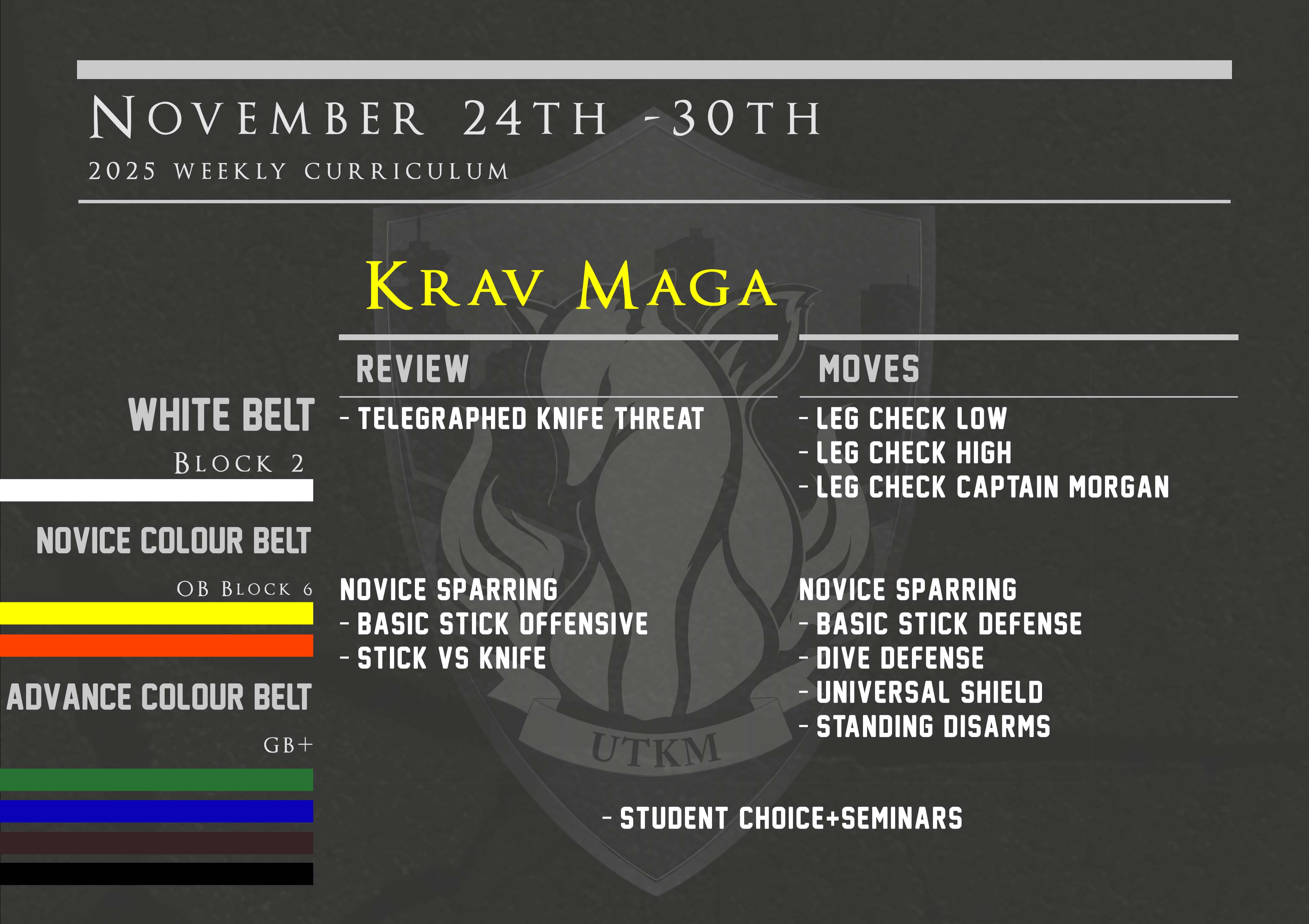 This week’s Krav Maga curriculum: Nov 24th – 30th