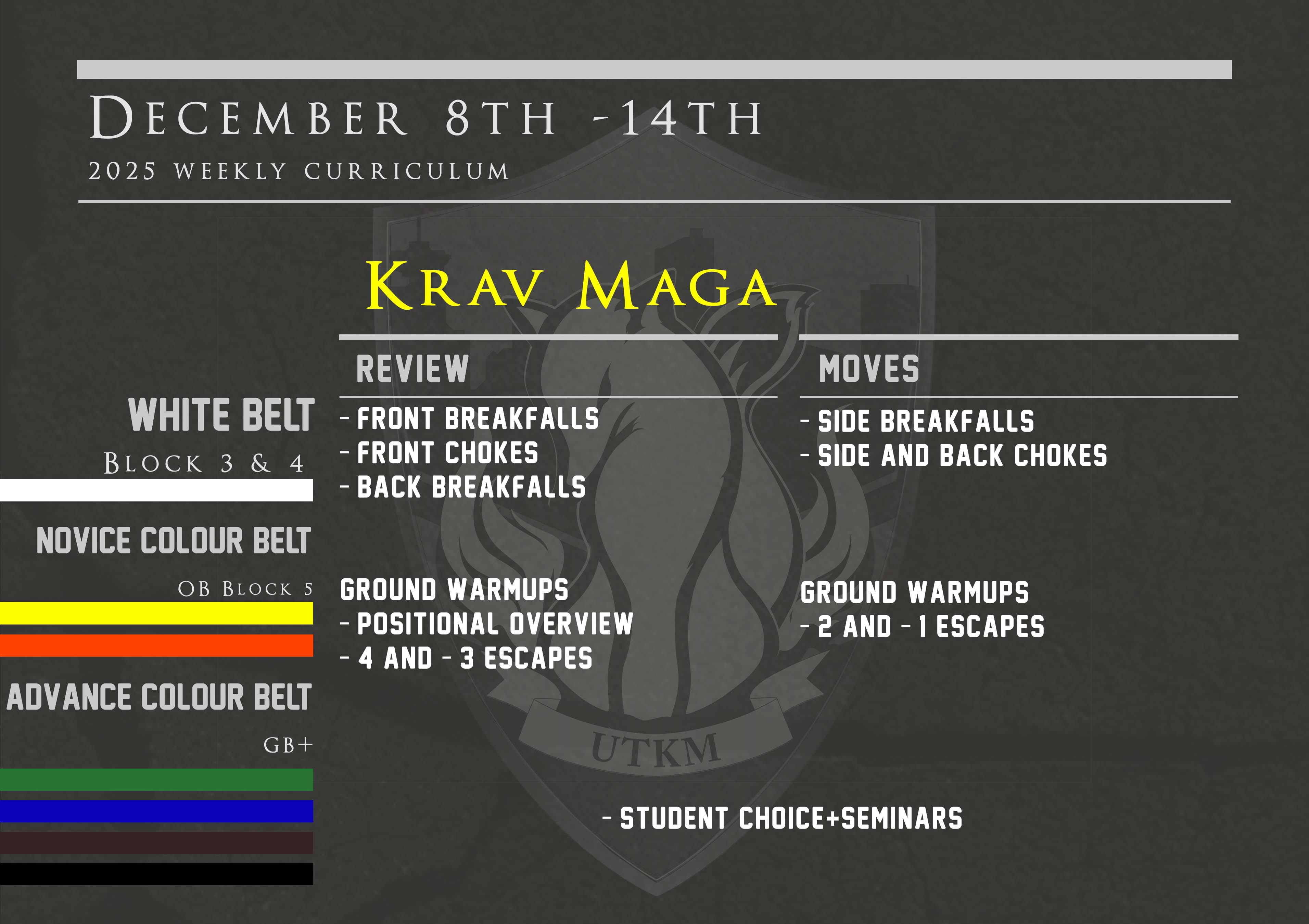 This week’s Krav Maga curriculum: Dec 8th – 14th