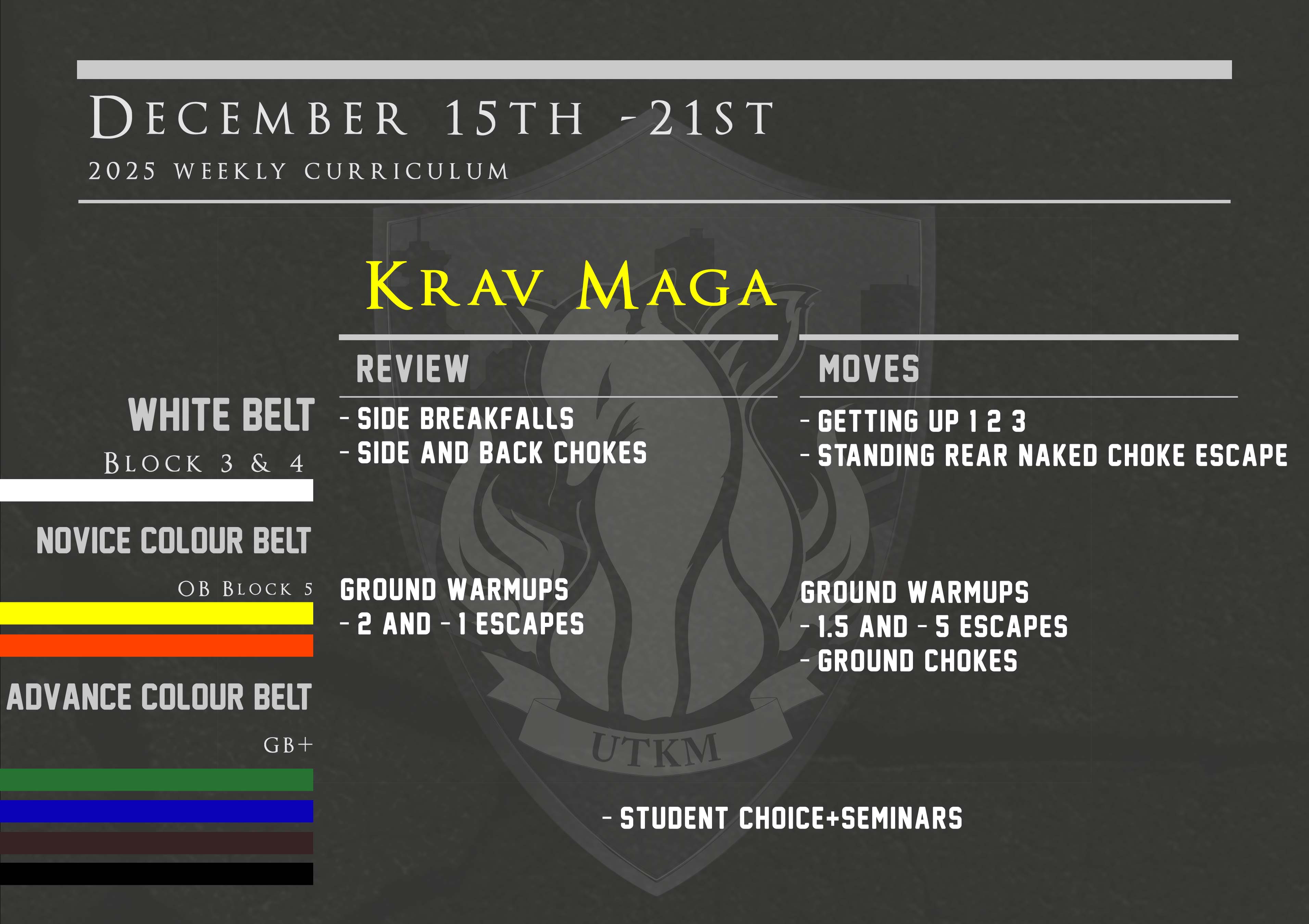 This week’s Krav Maga curriculum: Dec 15th – 21st