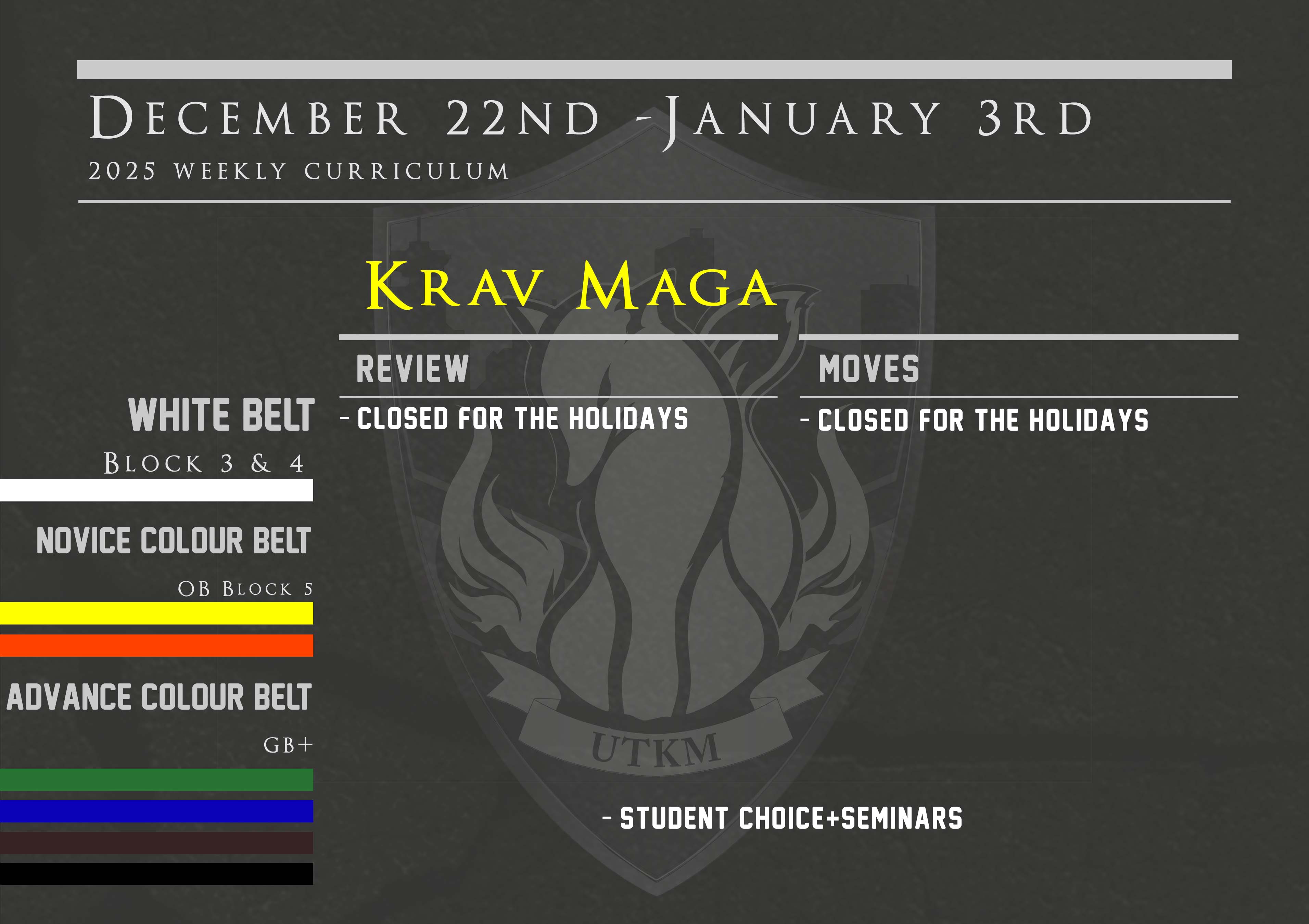 This week’s Krav Maga curriculum: Dec 22nd – 28th