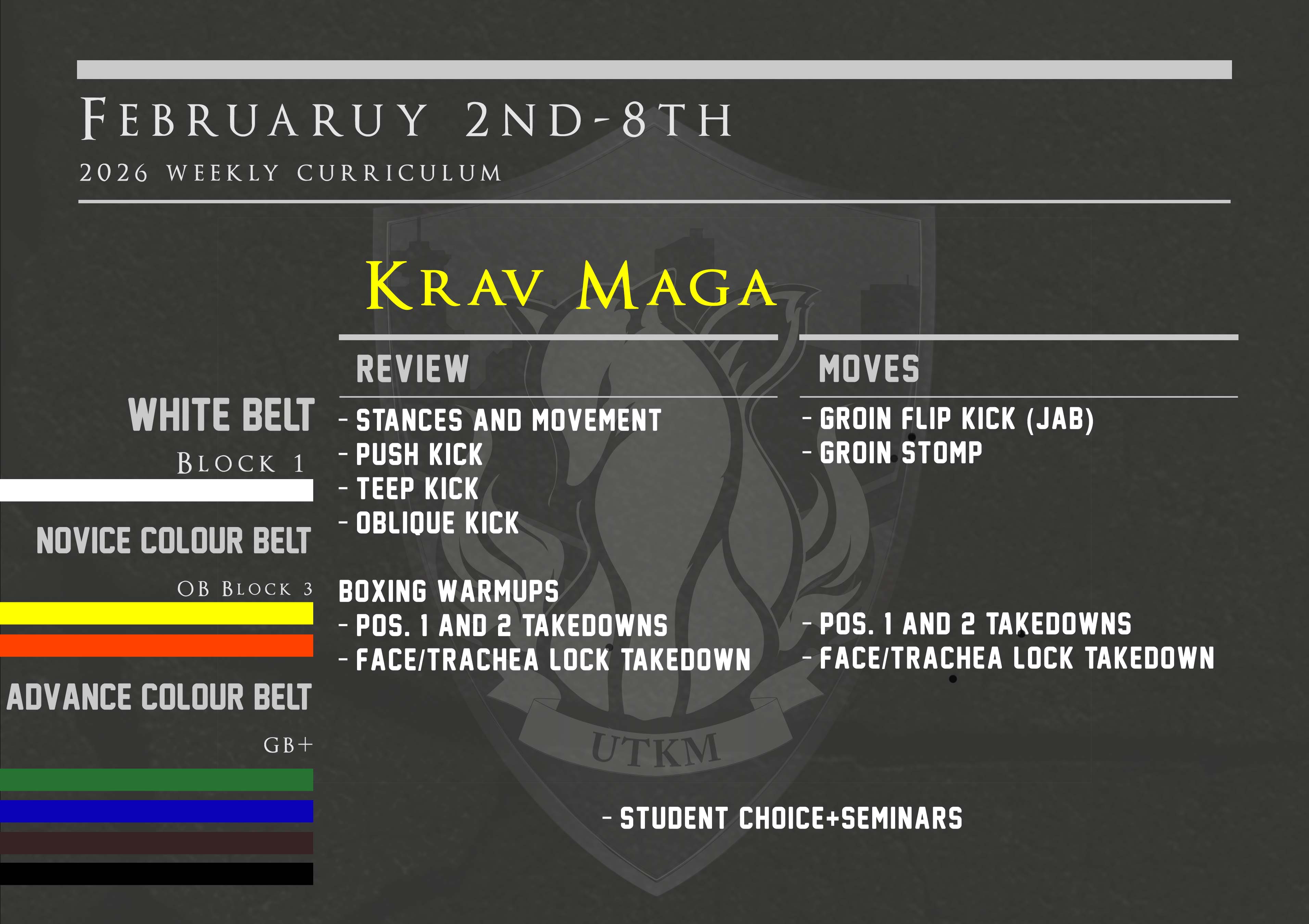 This week’s Krav Maga curriculum: Feb 2nd – 8th