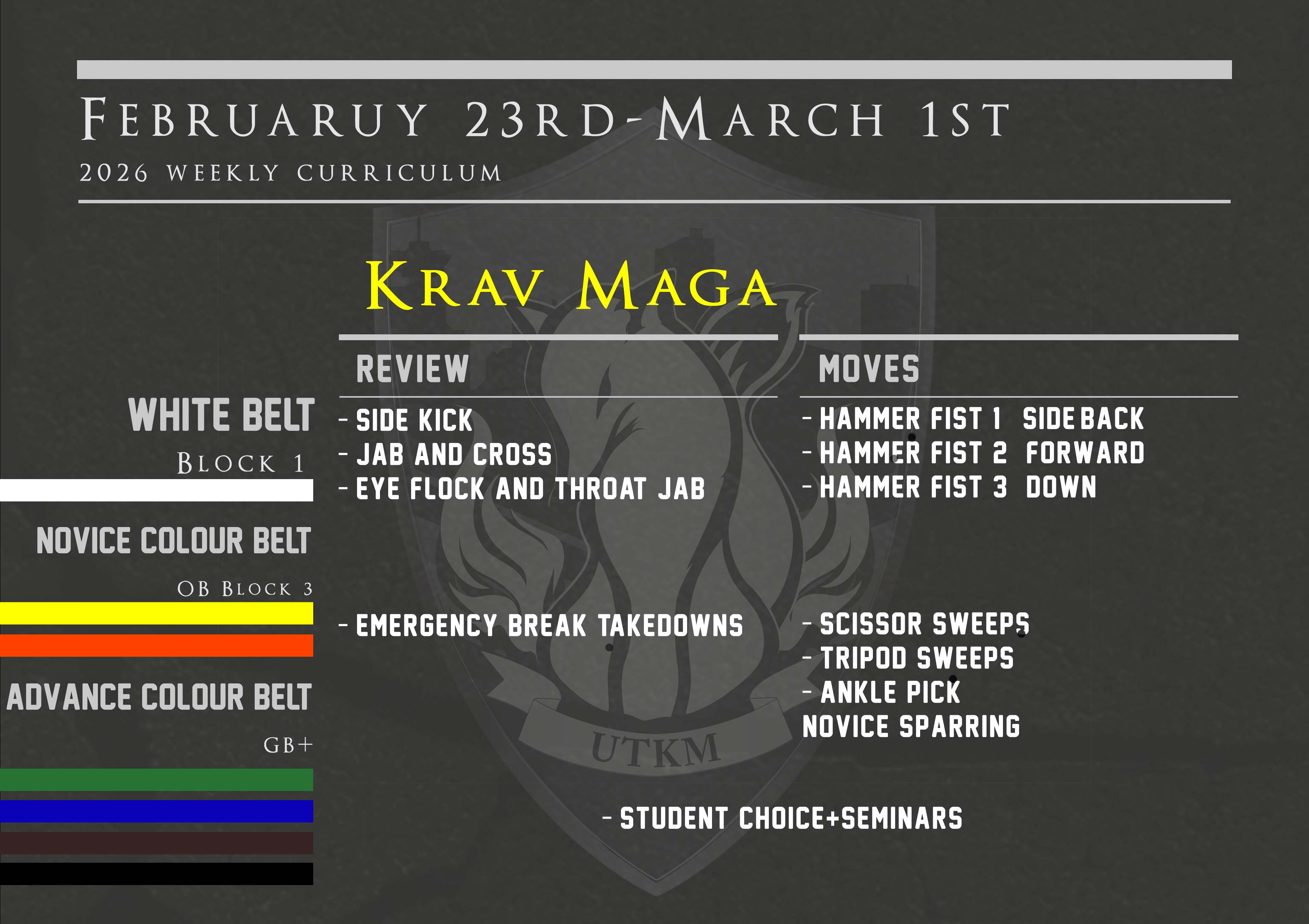 This week’s Krav Maga curriculum: Feb 23rd – March 1st