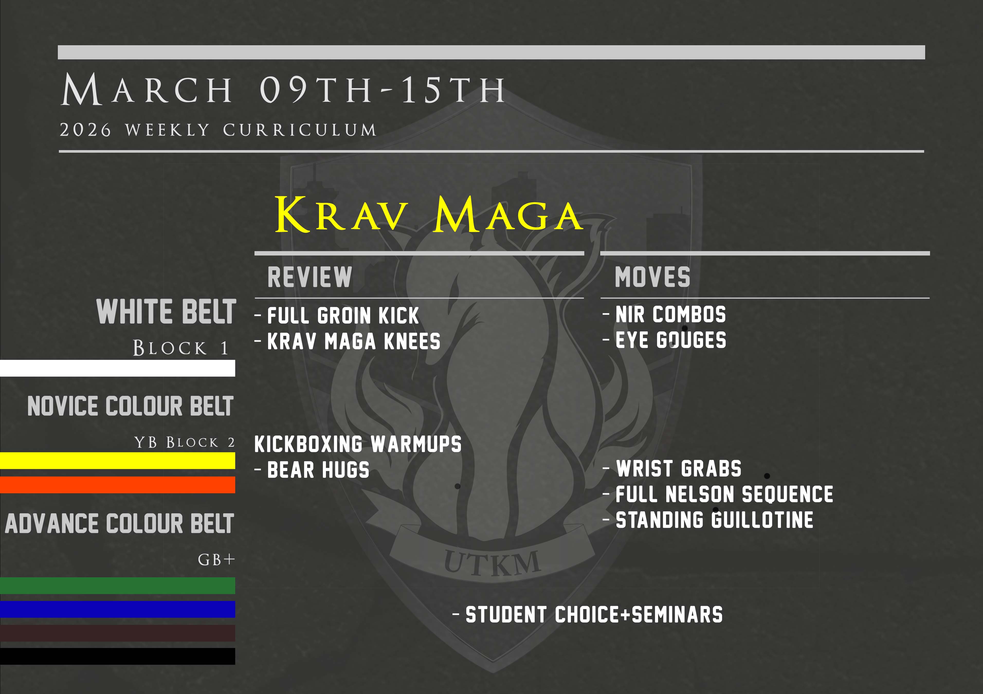This week’s Krav Maga curriculum: March 9th – 15th