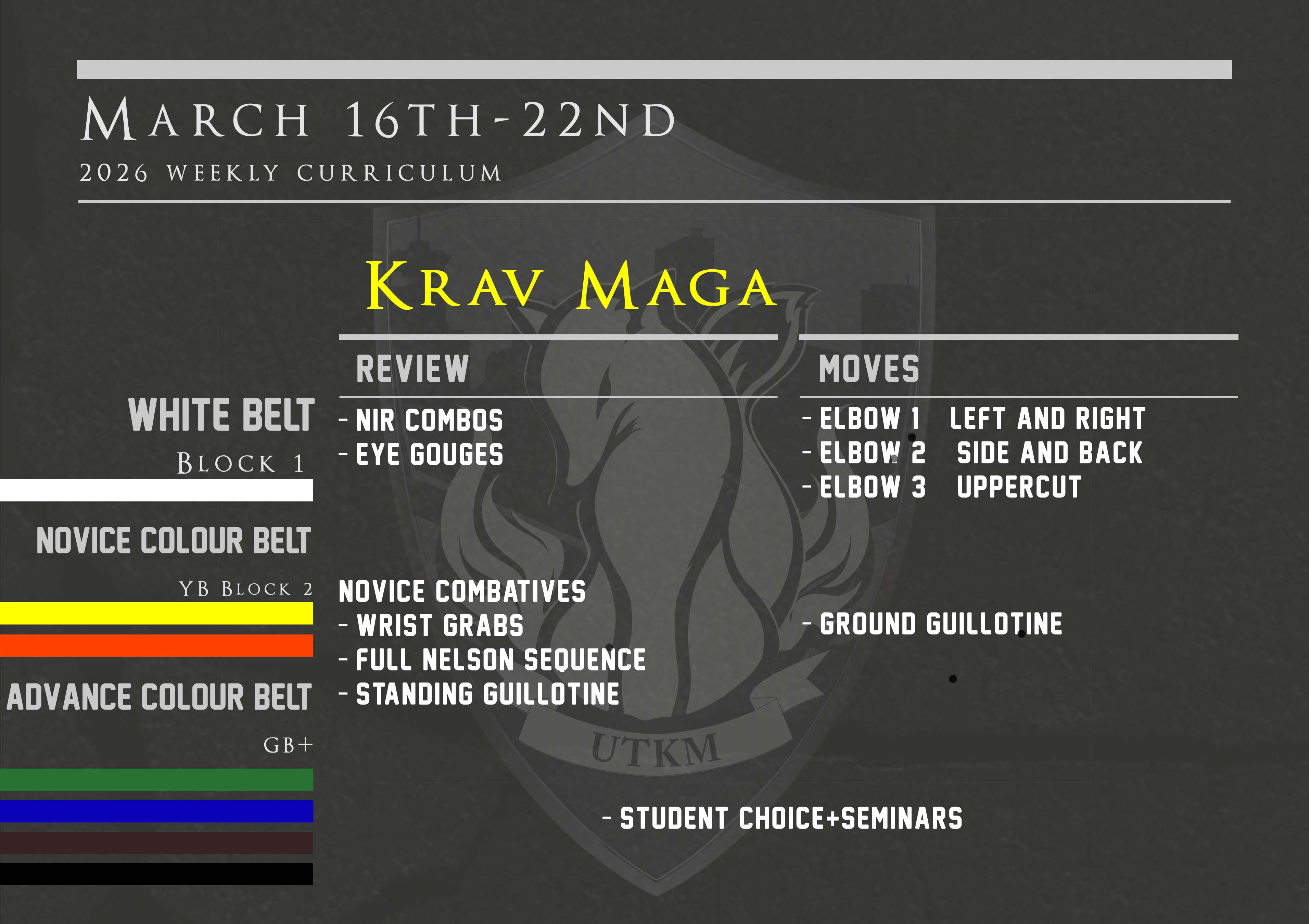 This week’s Krav Maga curriculum: March 16th – 22nd