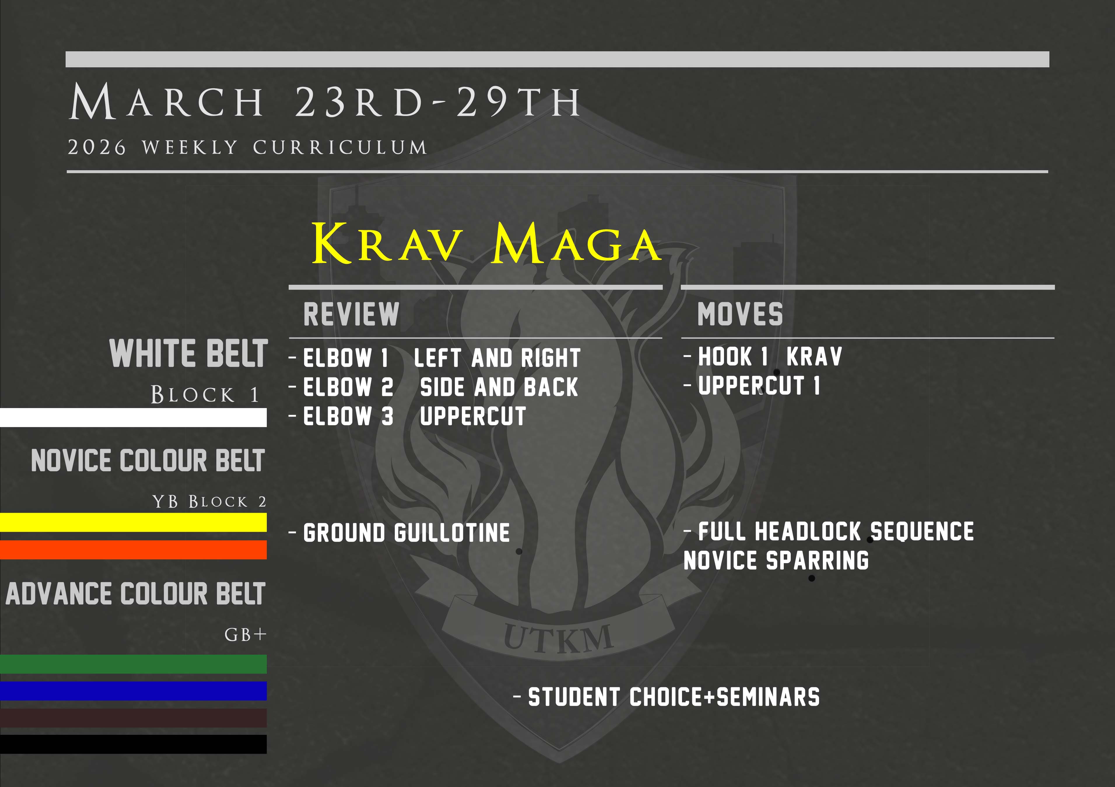This week’s Krav Maga curriculum: March 23rd – 29th